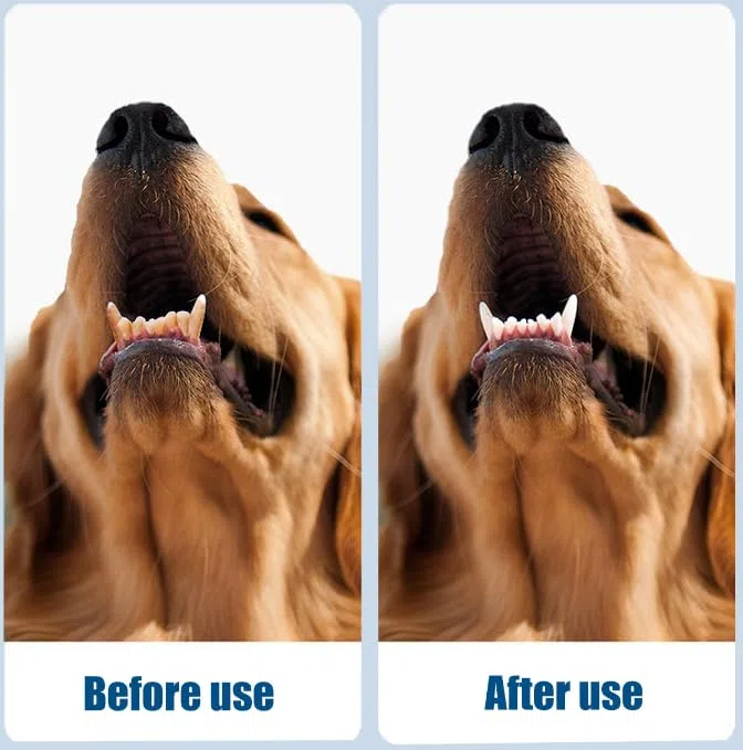 Pet Oral Tartar Remover Spray, No-Brush Pet Oral Care Foam, Fresh Breath, Helps Reduce Plaque & Tartar Build-Up, Daily Teeth Cleaning for Dogs & Cats (2pc)