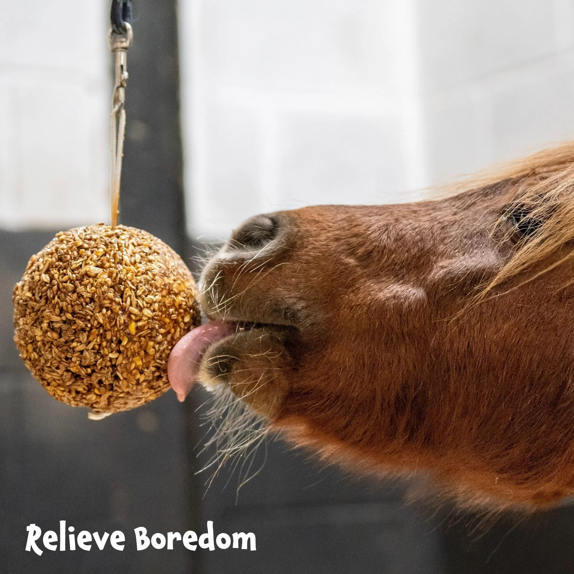 Likit Granola Stall-Ball Horse Treat 1,6 kg | Sapori di mela, bacca mista, menta piperita, melassa | lunga durata, noia e antistress | 1,6 kg