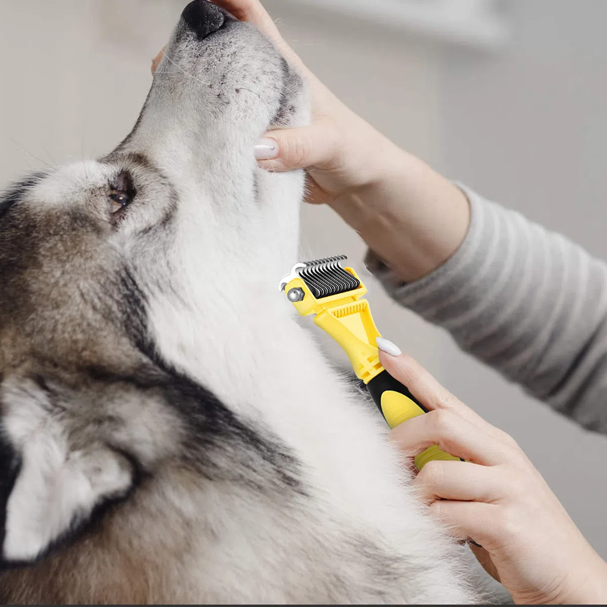 Spazzola per Cani Gatti, Pettine Professionale per Pelo Lungo e Corto, LIUCOLI Toelettatura Accessori Gatto Cane - Toglie Pelo Morto e Nodi, Riduce Perdita dei Peli Animali