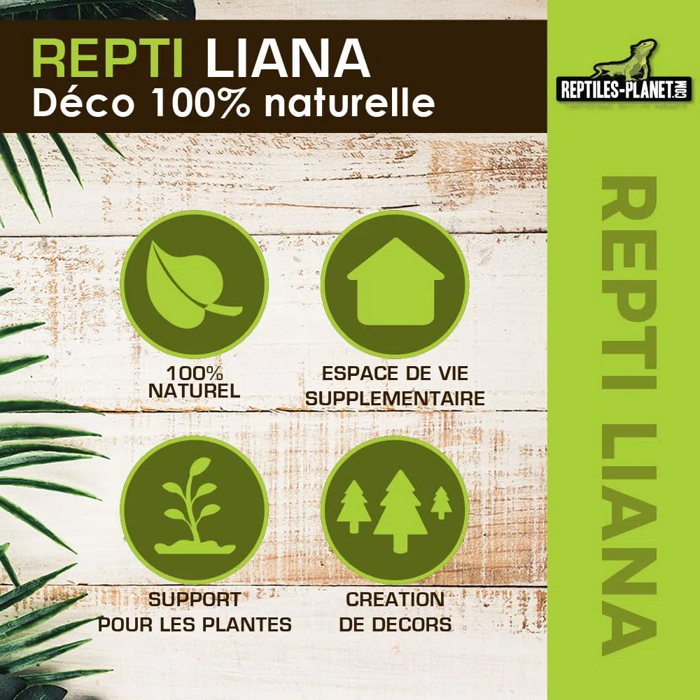 Rettili Planet Aghi Sonde di Alimentazione forzata medicinale per rettili Uccelli roditori
