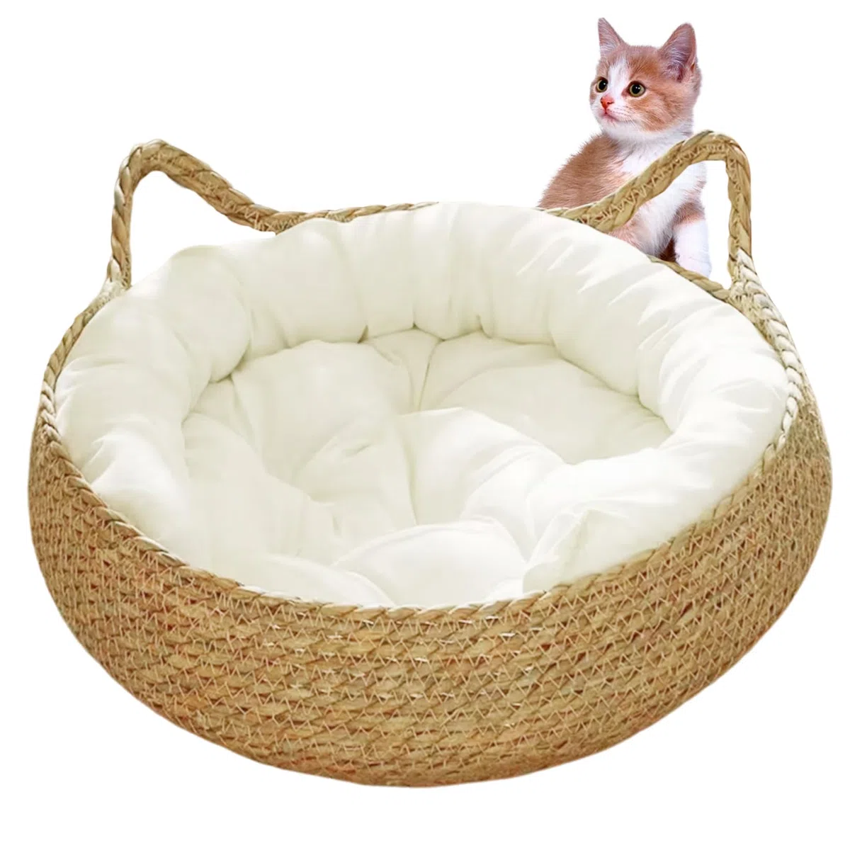 Letto a ciambella per gatti in vimini per gatti da interno, 38,1 x 12,7 cm, 2 in 1, cestino per gatti intrecciato con morbido cuscino antigraffio, comodo cestino rotondo in vimini per gatti