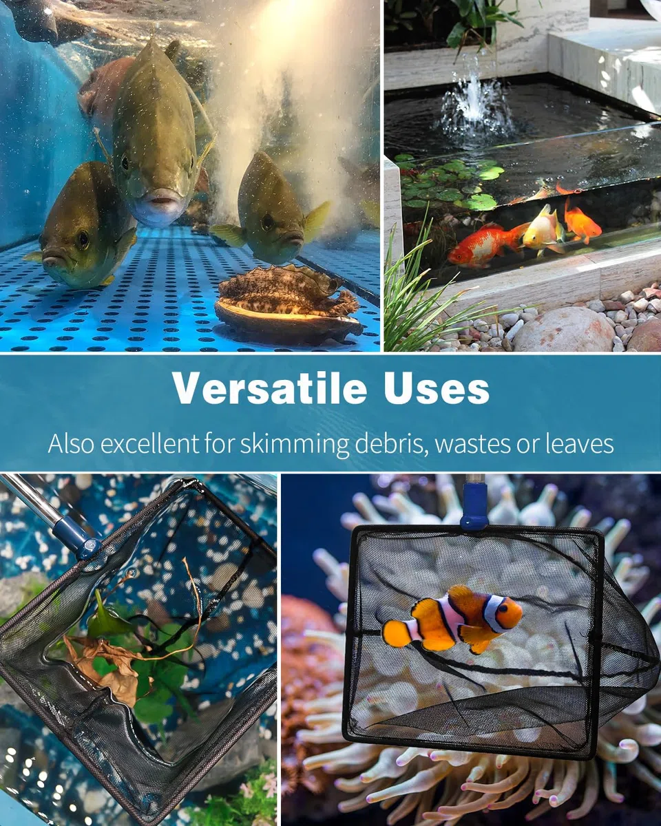 Pawfly Rete Per Pesci D'acquario Con Manico Telescopico In Acciaio Inox 20 Cm Grande Rete Quadrata A Maglie Fini Morbide Fanghi Residui Alimentari Rifiuti