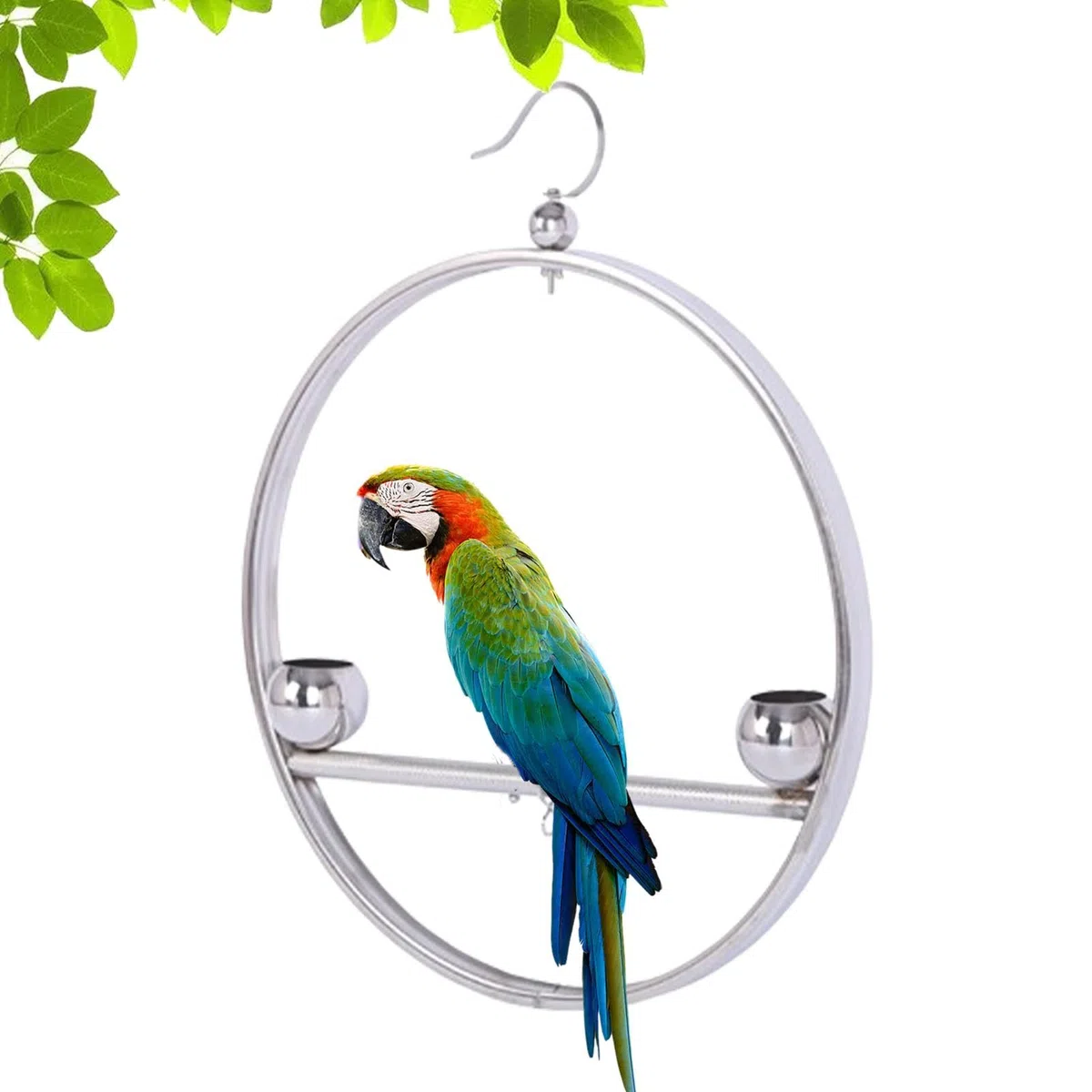 Altalena rotonda per pappagalli, in acciaio inox, supporto per addestramento per pappagalli e uccelli, accessori per animali domestici, antiruggine, con gancio, per gabbie, finestre, balconi