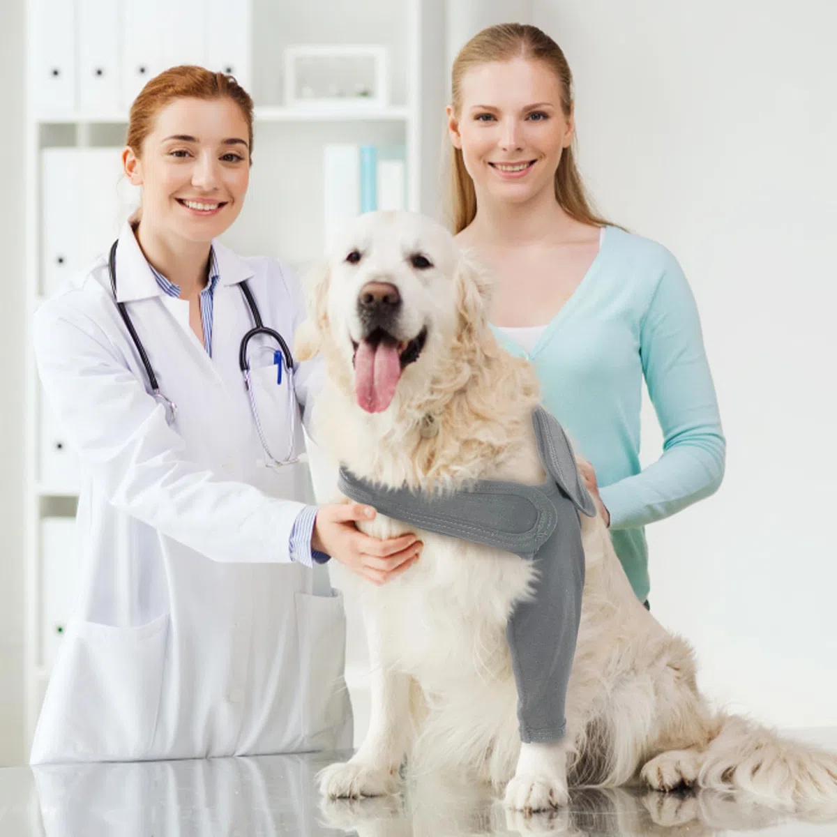 Gilet di recupero per chirurgia canina anteriore - destro - gamba sinistra - protezione - gomito, Grigio, XL