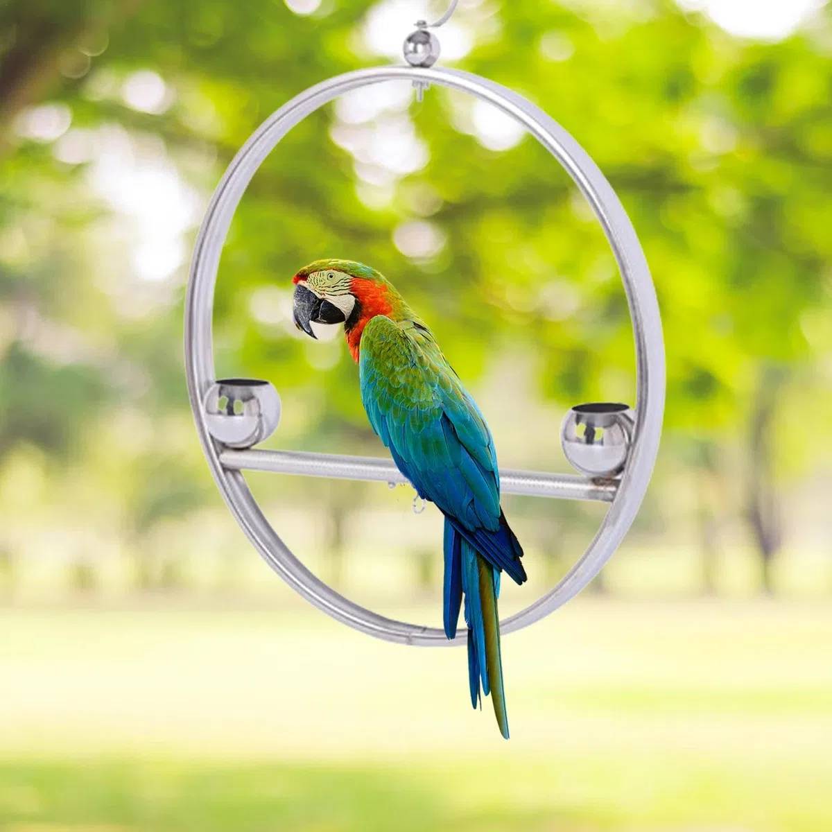 Altalena rotonda per pappagalli, in acciaio inox, supporto per addestramento per pappagalli e uccelli, accessori per animali domestici, antiruggine, con gancio, per gabbie, finestre, balconi