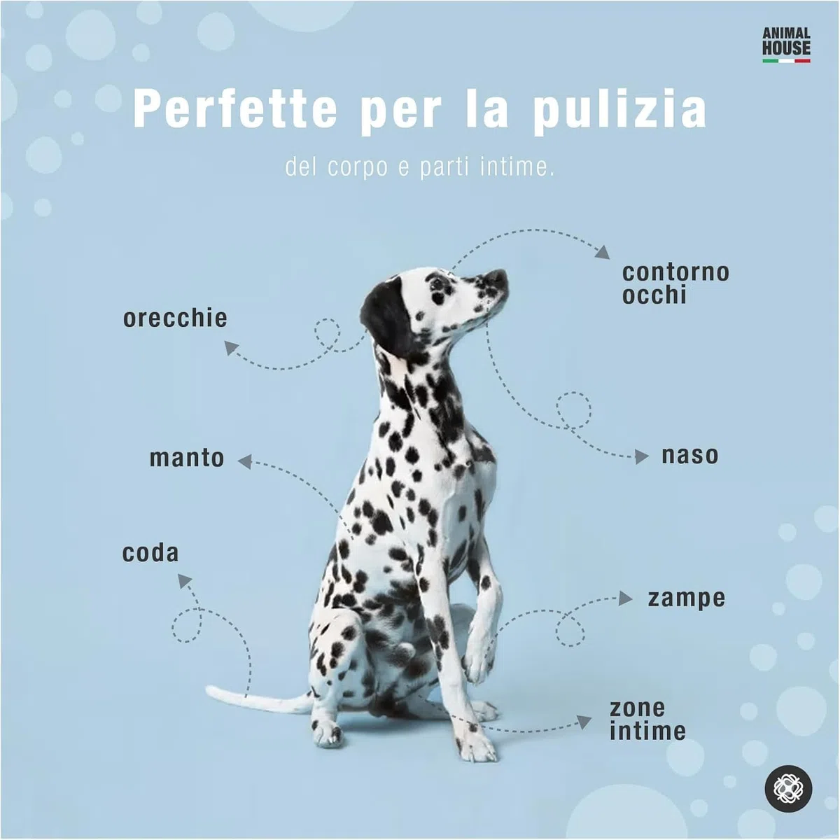 Animal House Salviette Profumate 350 PZ: Salviette Umidificate Ipoallergeniche e Biodegradabili per la Pulizia Quotidiana di Cani e Gatti (350, CAMOMILLA)