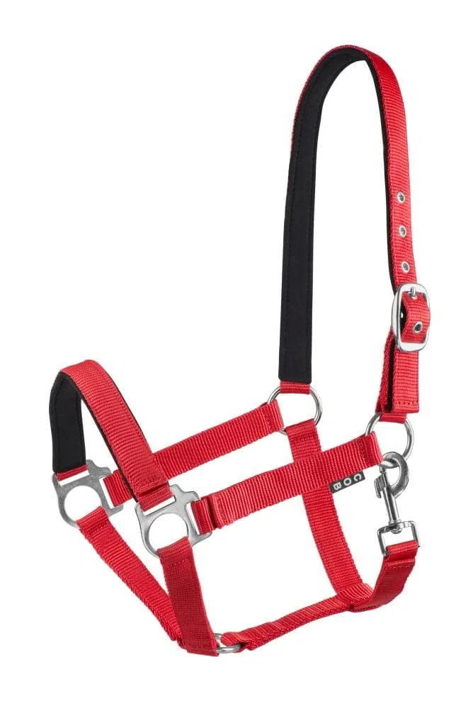 Start Cavezza Cavallo regolabile – Cavezza in nylon con imbottitura – Dimensioni: pony, Cob, sangue caldo – Confortevole e robusto – Cavezza per stalla e salice (rosso, Full)