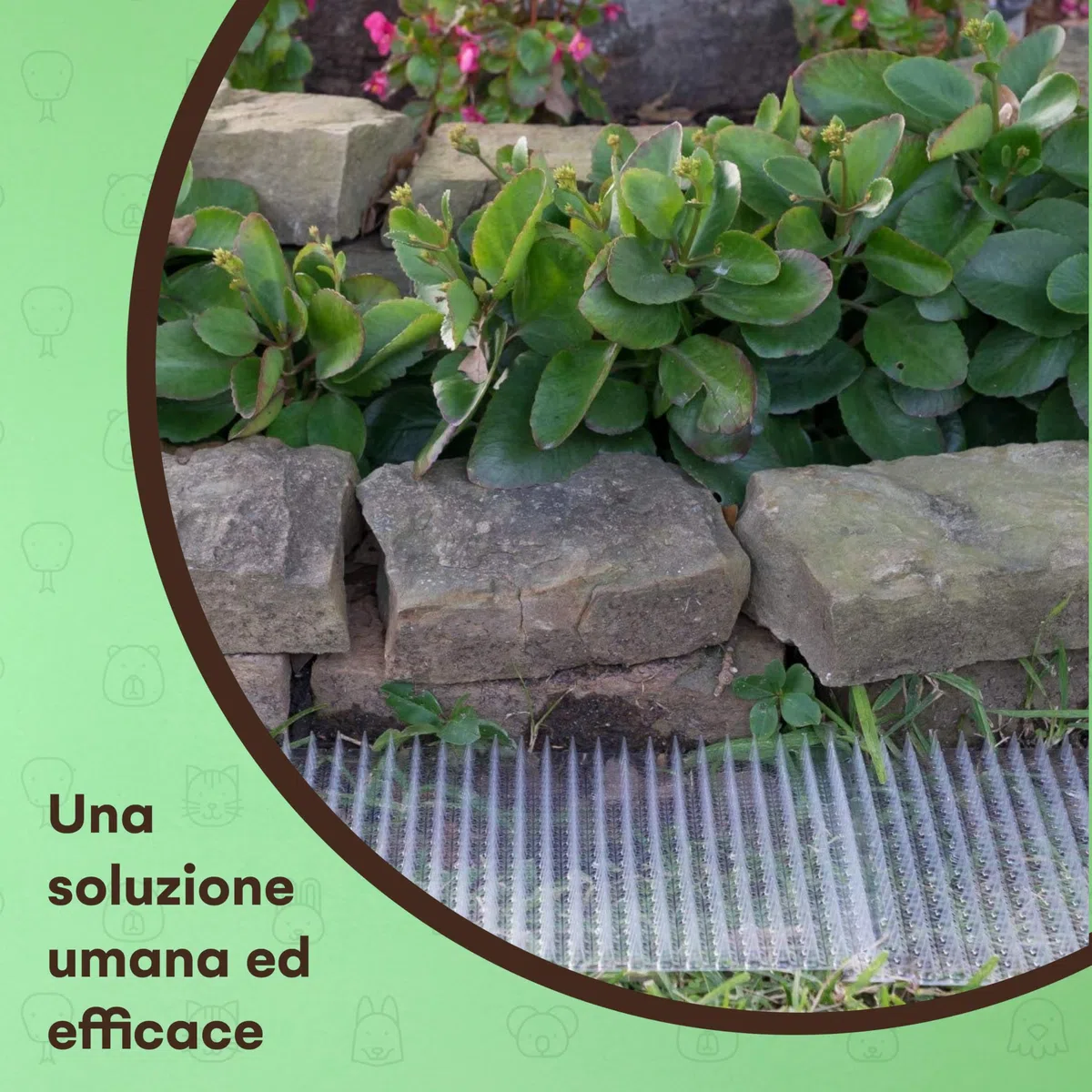Homarden Tappetino deterrente per Gatti da Esterno:Tappetino deterrente per Animali Domestici per Cani e Gatti-Dispositivi per tappetini per addestramento deterrente per interni/esterni-16x13,6 Pezzi