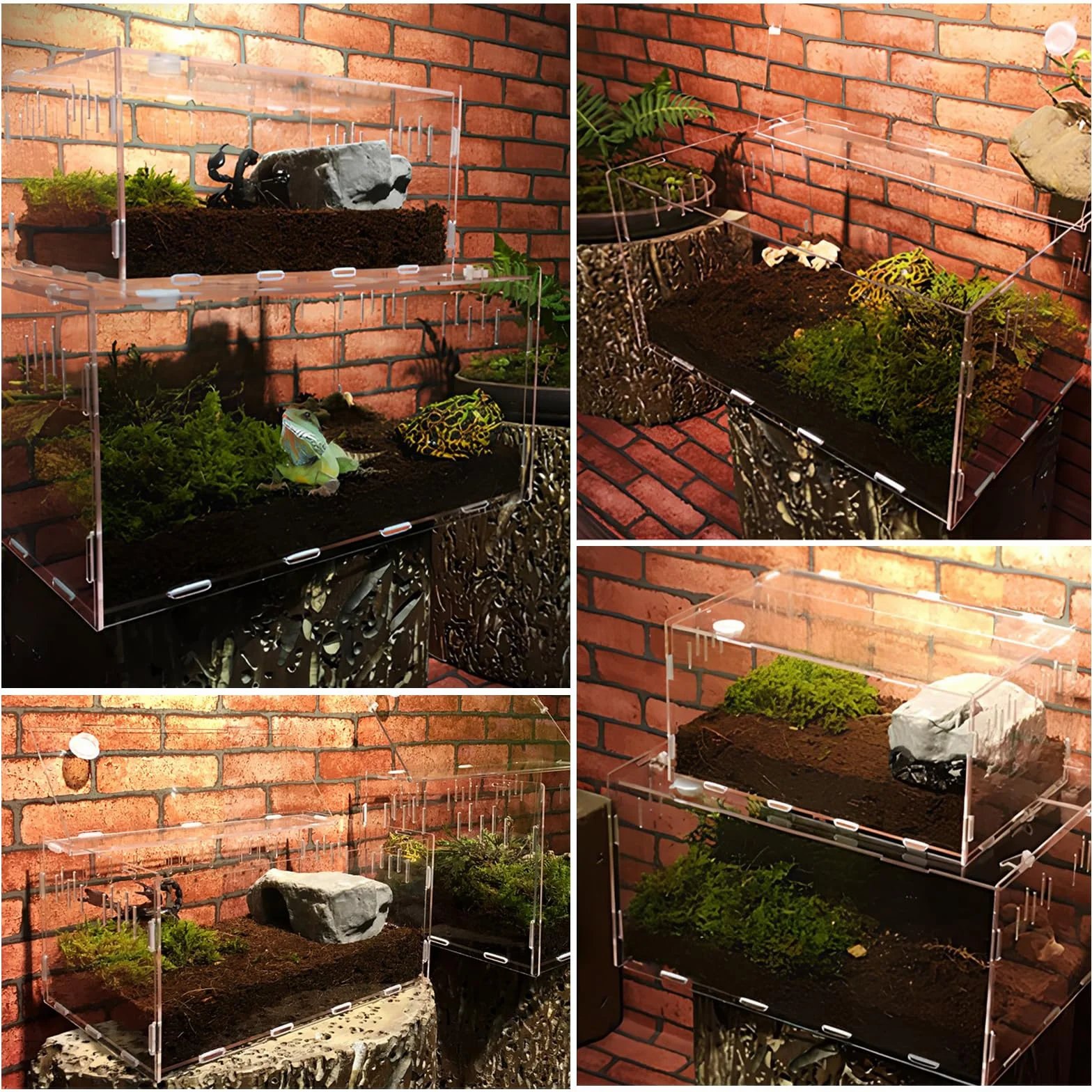 Terrario a Lumache, Contenitore per l'alimentazione Degli Insetti, Trasparente Terrario in Acrilico per Lumache, Tartarughe d'acqua, Ragni, Criceti, Granchi Eremita, Lucertola (20×12×12 cm)