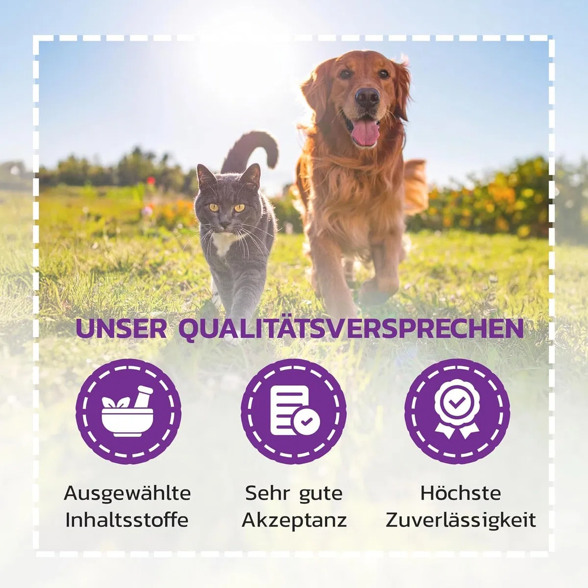 LiquidoCare Renal (180 ml) – Mangime complementare per cani e gatti – con verga d’oro, selenio, vitamine e acidi grassi omega – integrazione nutrizionale liquida