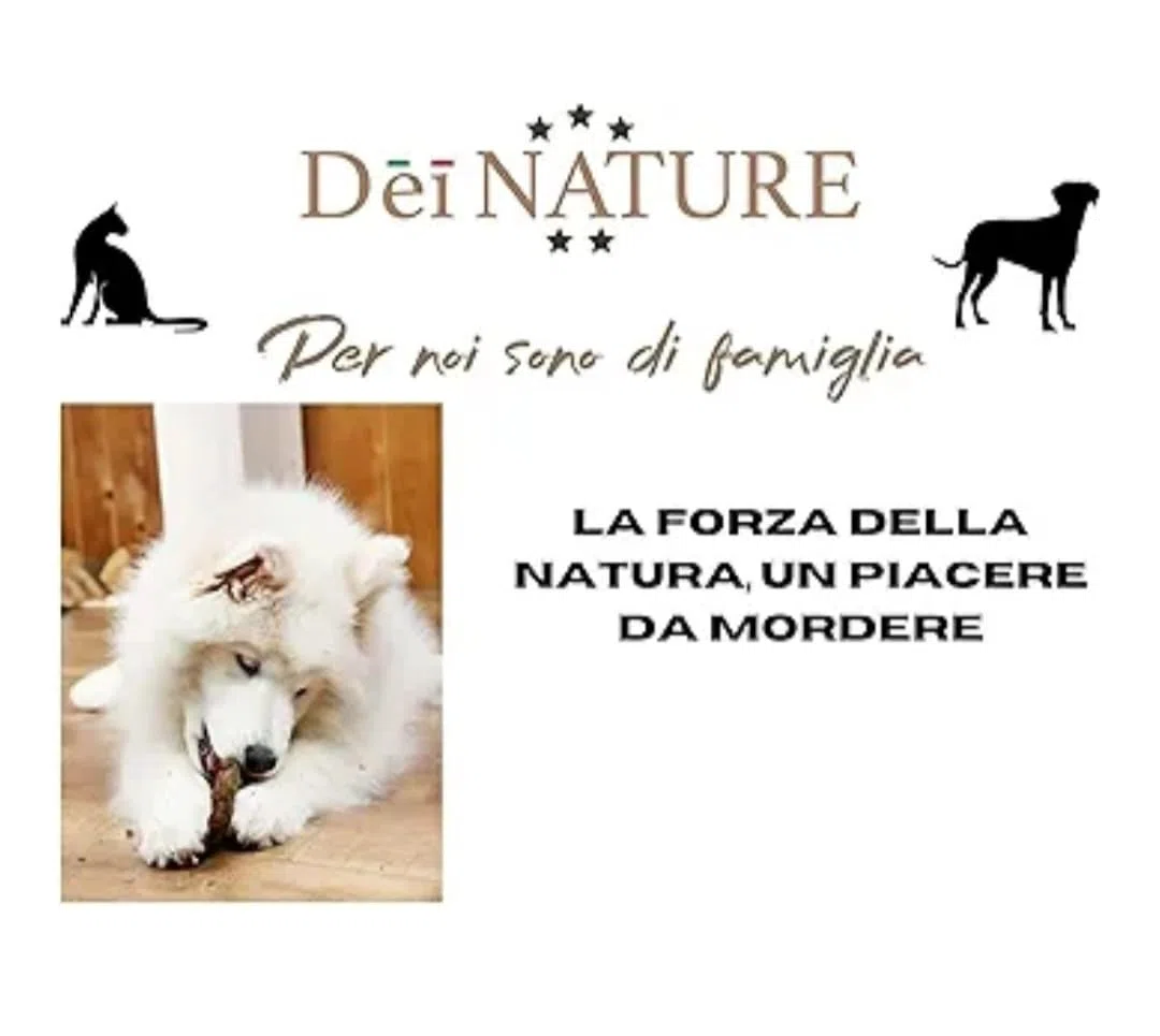 Orecchie di Coniglio Naturali, 32 Pezzi, Snack Masticativo Premium per Cani, Dieta BARF