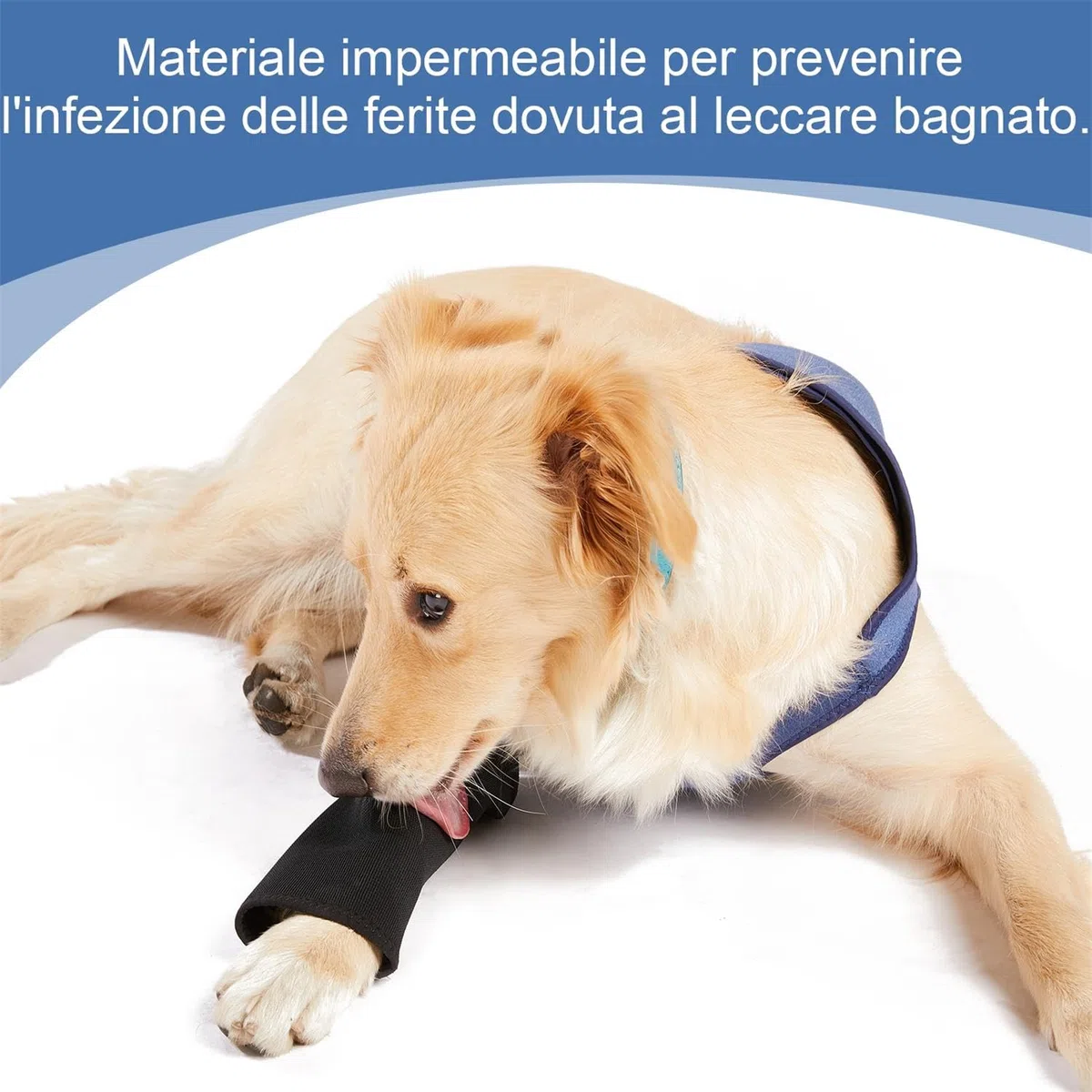 Coodeo Costume di Recupero per Cani, Alternativa al Collare a Cono, Manica Resistente per Solo le Zampette Anteriori, Lavabile e Impermeabile, Previene Leccate e Morsi, Mantiene Asciutto. (Blu, XL)
