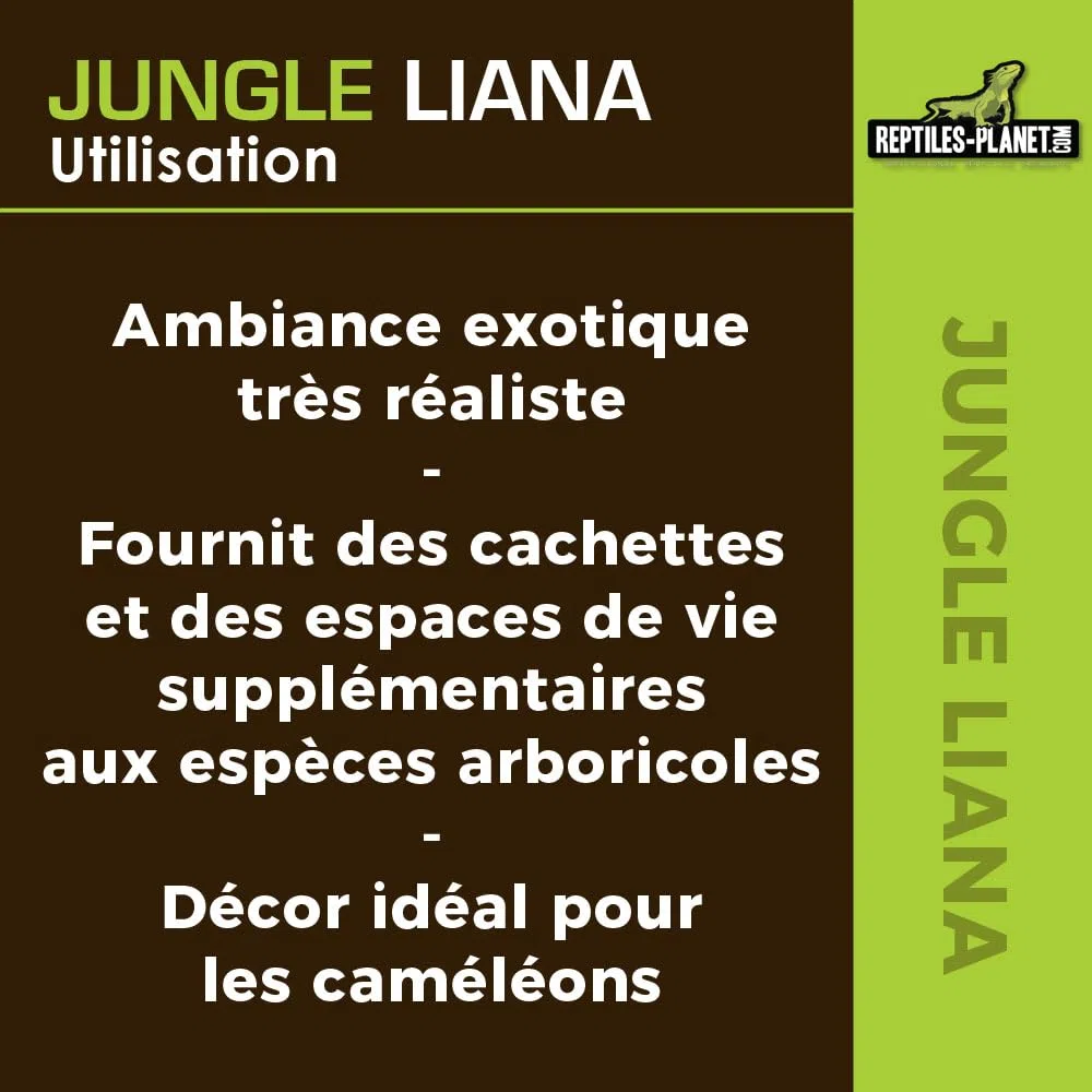 Reptiles Planet - Giungla Liana - Liana Artificiale - Decorazione per Terrario - 1 m