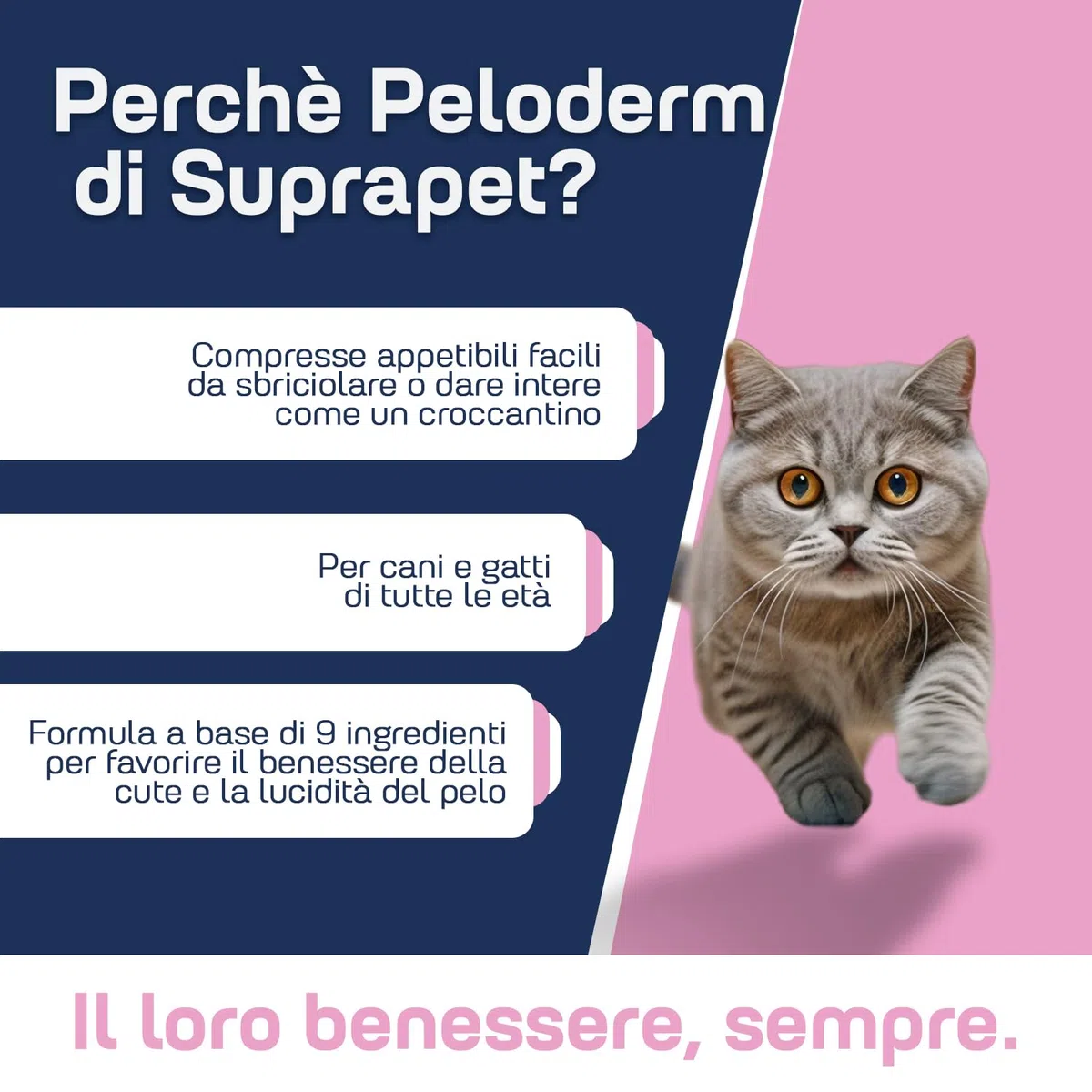 Suprapet Peloderm per Cane e Gatto 90 compresse a base di Biotina, Zinco, Vitamine B, Metionina e Cistina per il Benessere e la lucentezza del Pelo | Mangime Complementare