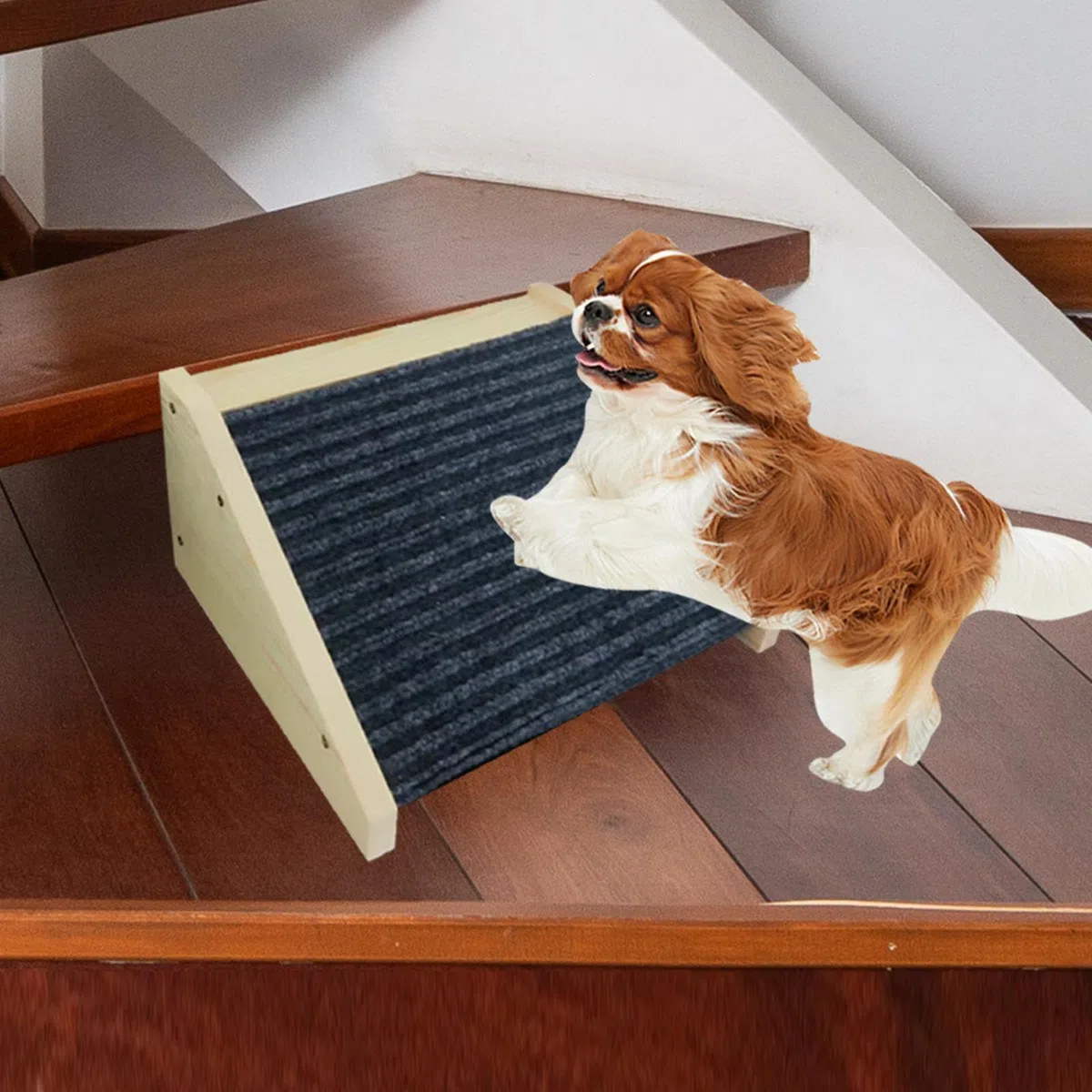 KESOTO Rampa per Scale per Cani in Legno, Pedana per Arrampicata per Cani, Rampa per Soglia per L'arrampicata per Animali Domestici per Raggiungere Luoghi Più Alti Come Letti O Divani