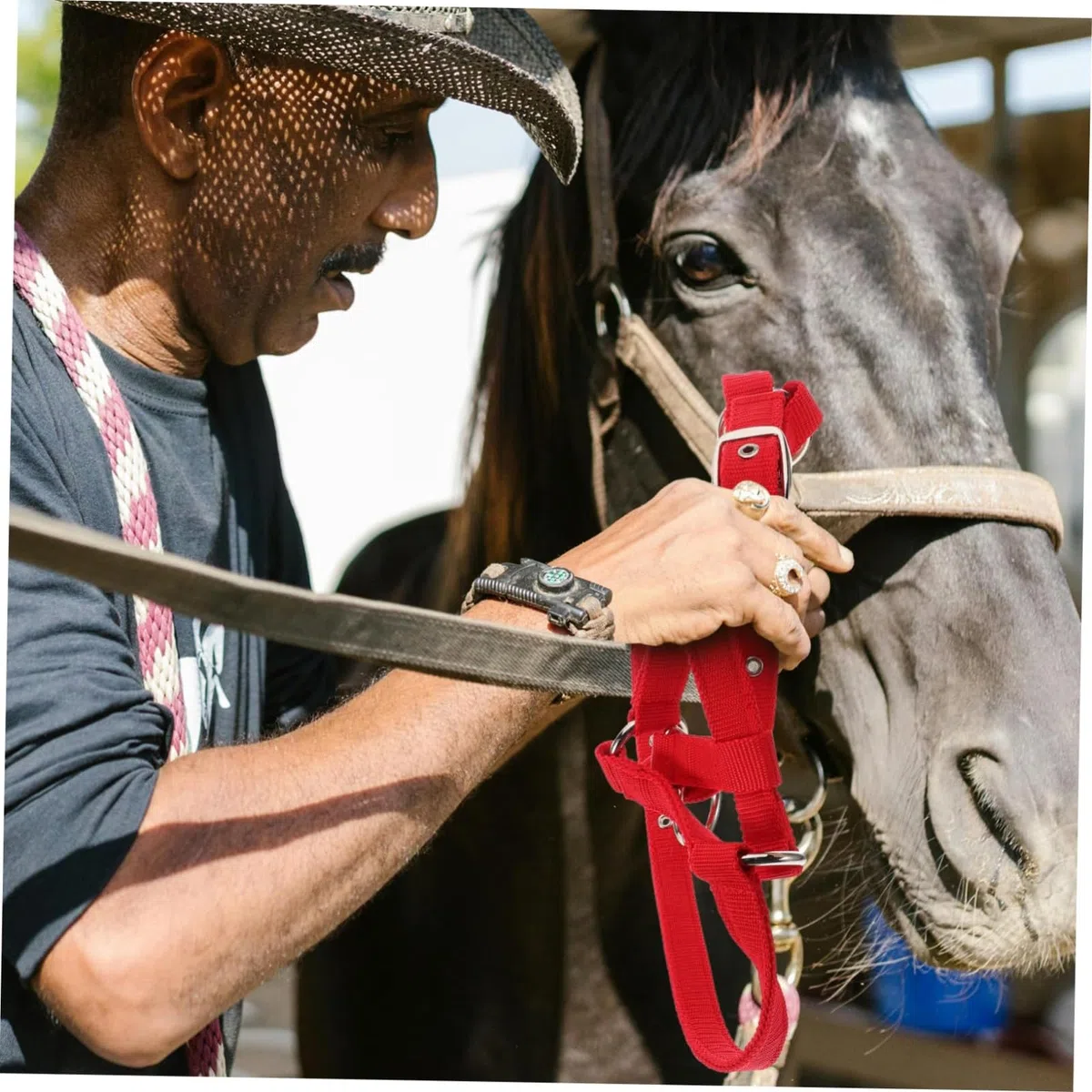 Generico Cavezza Per Asino Da Addestramento Equestre Per Cavezza Regolabile Per Cavezza Con Corda Per Cavezza Per Hobby Cavezza Per Grandi Cavezza Per