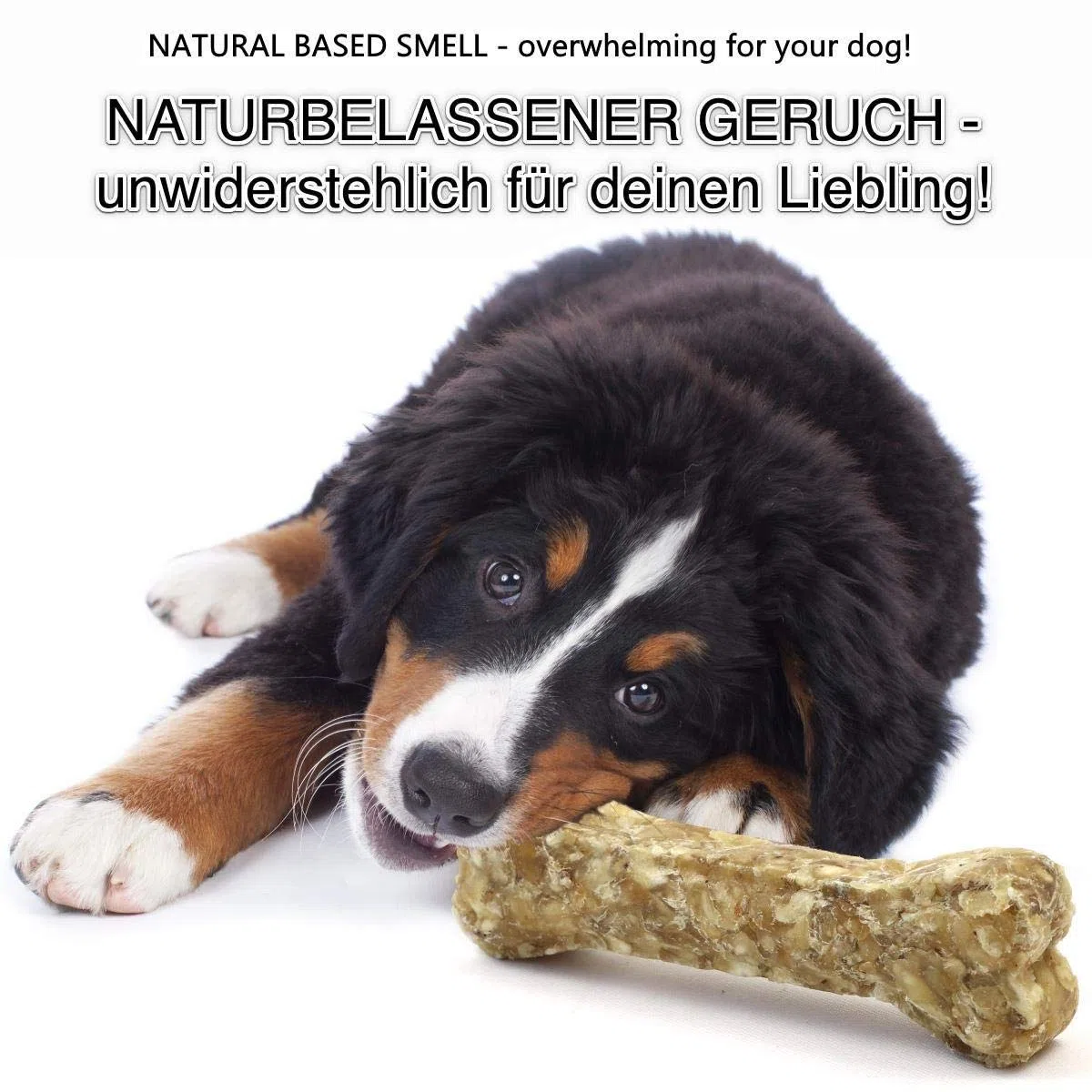 Ossa da masticare DOGBOSS a base di ingredienti naturali al 100% per i cuccioli a partire dalla 16° settimana della vita e cani anziani in varie dimensioni e gusti (5 con rumine, 17 cm)