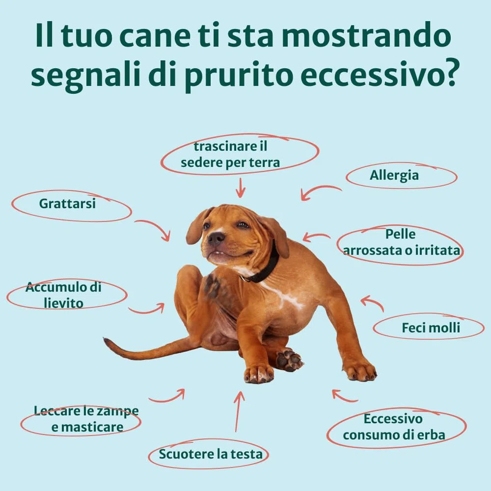 DogSuppy Sollievo Prurito Probiotici per Cani – Ferma Prurito, Grattamento, Leccamento delle Zampe, Allevia Allergie e Lieviti, 100% Naturale, Sostiene Intestino e Immunità, Carne Bovina