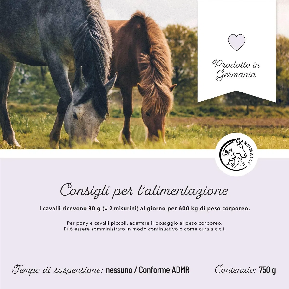 Polvere probiotica per cavalli - 750 g di polvere intestinale con lievito vivo per una flora intestinale sana - Batteri intestinali per la sanificazione intestinale nei cavalli, in caso di feci liquid
