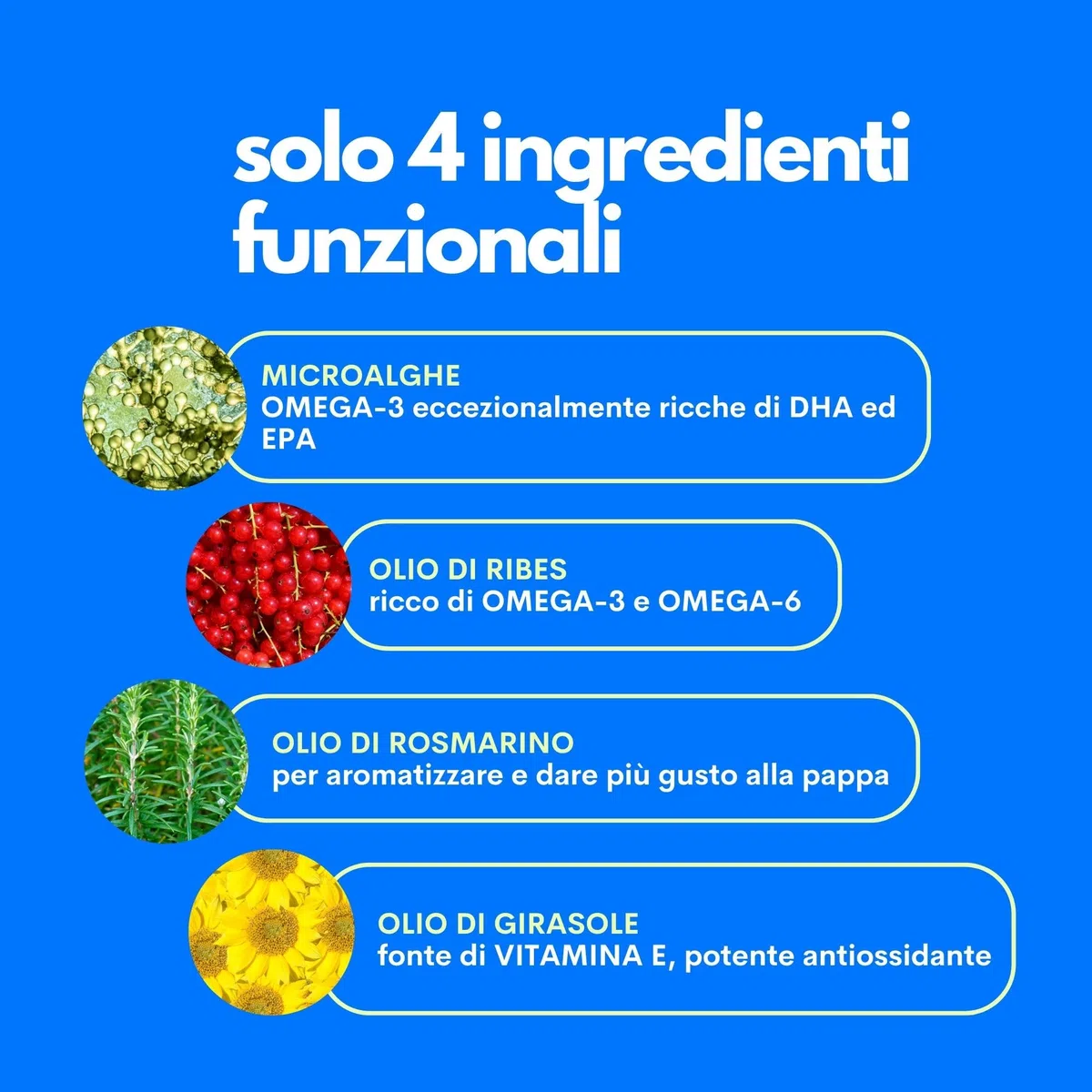 JAMPY The Smart Omega - Omega3 Vegano Senza Ritorno di Gusto e Odore di Pesce - Integratore per Pelle, Pelo, Prurito. Base di Microalghe e Ribes. Antiossidante, Ipoallergenico. PLASTIC-FREE Pack.
