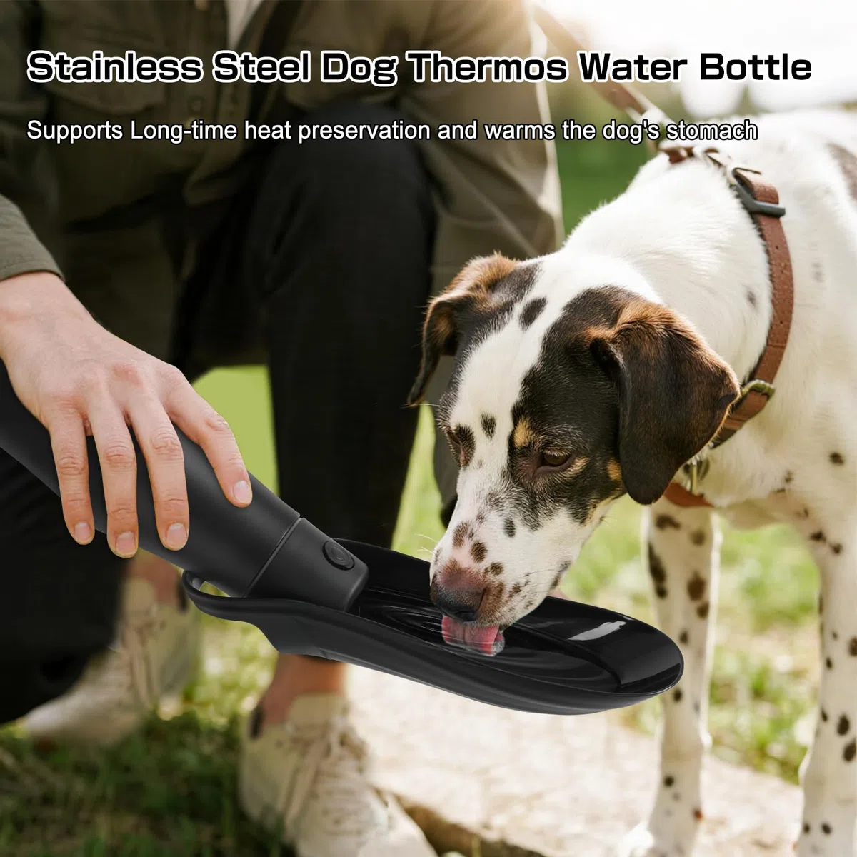 Borraccia Cane Portatile, 750ml Bottiglia per Cani da Viaggio, Borraccia Per Cani Isolato in Acciaio Inox, Bottiglia Cane per Camminare, Viaggiare, Campeggiare