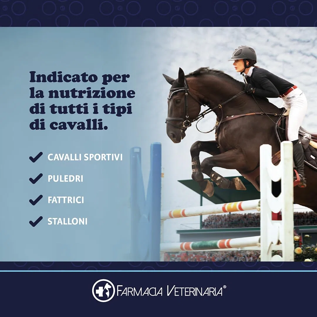 Farmacia Veterinaria Active Horse Probiotici e Vitamine. Rafforza le Difese Immunitarie e Previene Problemi Gastrointestinali. Potenzia il Metabolismo. Previene le Coliche Integratore per Cavalli 1Kg
