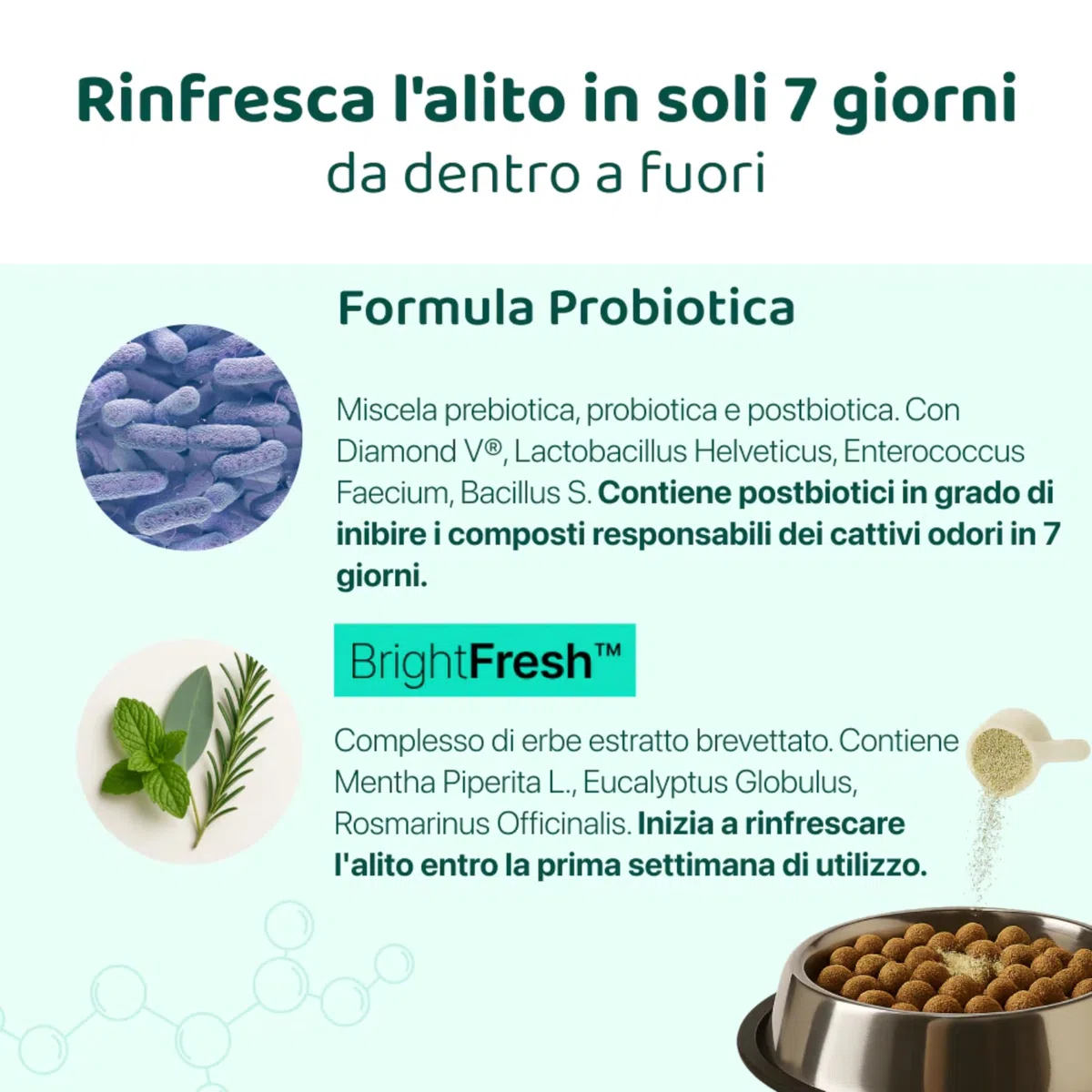 DogSuppy Dental Bright per Cani - Alito Fresco, Denti Bianchi, Riduce Placca e Tartaro, 100% Naturale, Formula 3-in-1, Senza Spazzolatura, Adatto a Tutte Le Razze