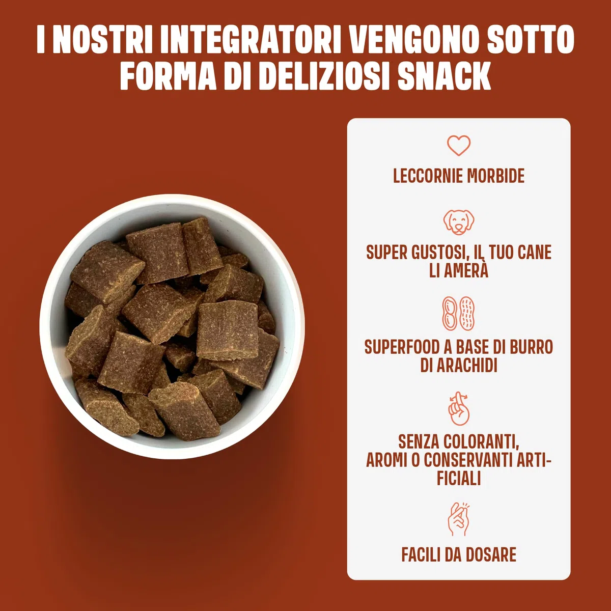 ivvi Anal Gland - Snack per supportare la Salute delle ghiandole Anali dei Cani. Contiene Zucca, psyllium, Lino, tarassaco, ortica e prebiotici. 60 Snack (270g) a Base di Burro di Arachidi