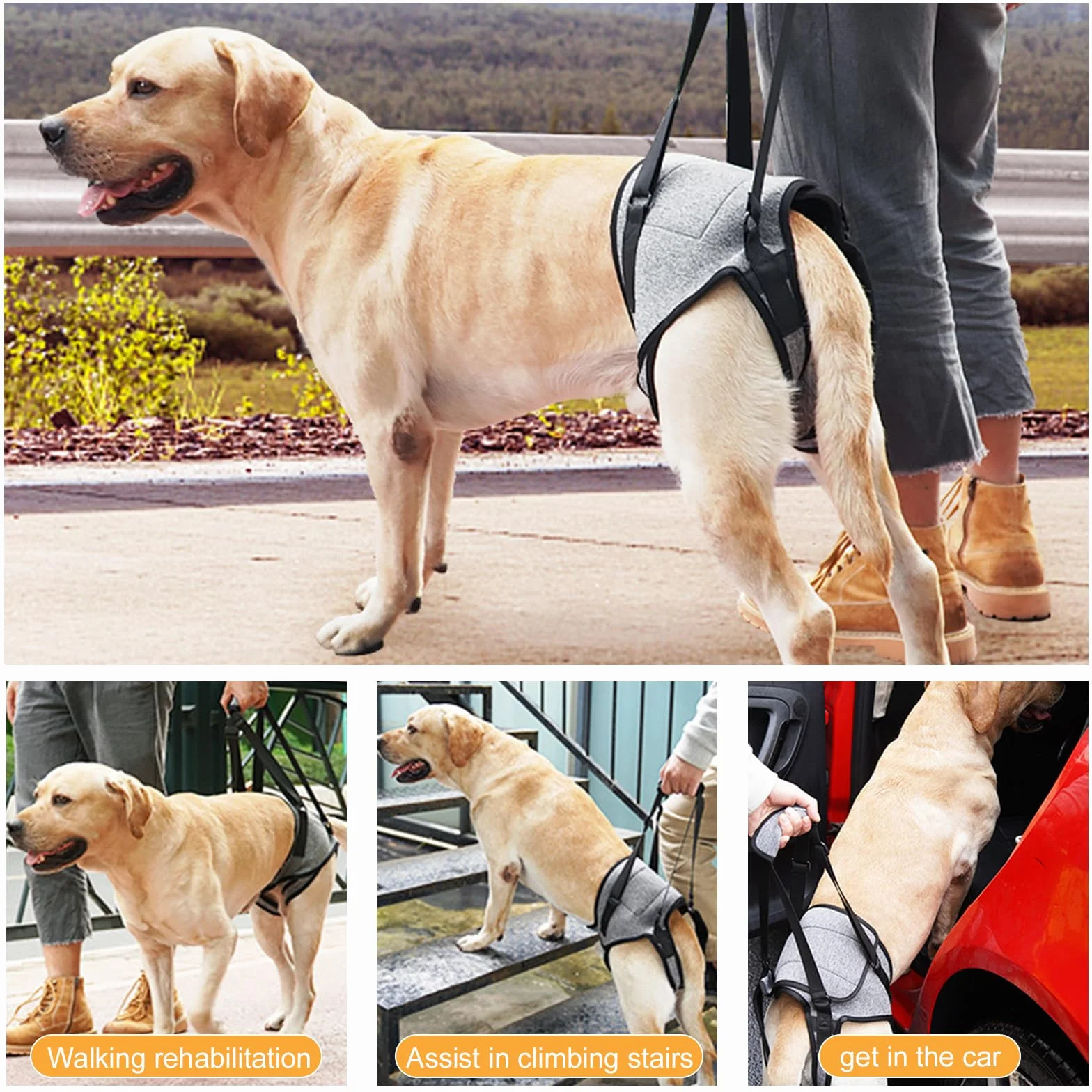 Dokeno - Imbracatura per Cani - Pettorina Cane Portatile, Zampe Posteriori, Grigio (XL)