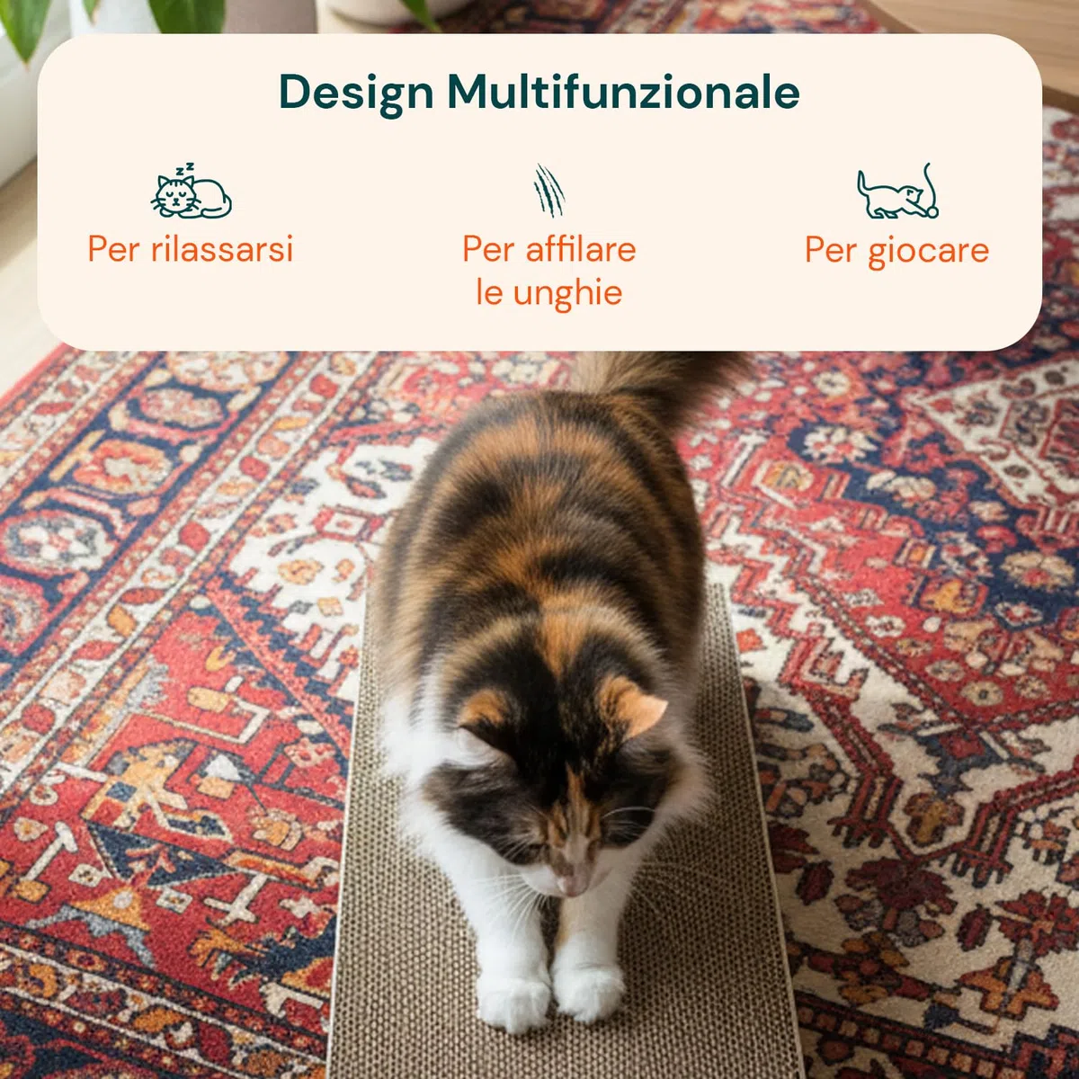 Avilia - Tiragraffi per Gatti Set 5 Pz – Tiragraffi Cartone Ondulato Bifacciale Ultra-Compresso, Graffiatoio per Gatti Protezione Divano, Tiragraffi Cartone per Gatti 3 in 1 Atossico Riciclato