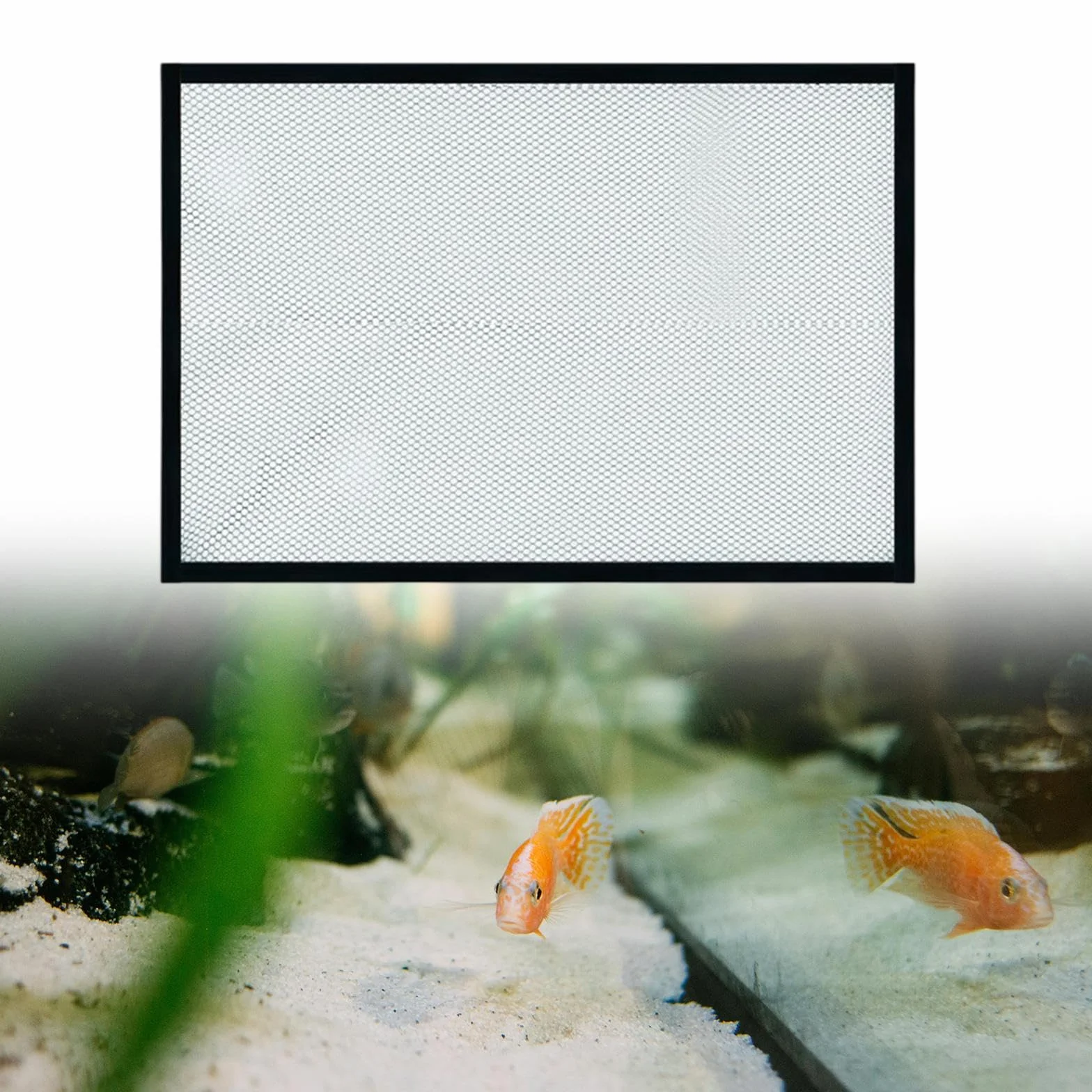 perfk Copertura per Rete Anti-Salto per Acquario Anti-Salto per Serbatoi Rete di Ricambio per Protezione Anti-Salto Accessorio Facile da installare, 60x30 cm