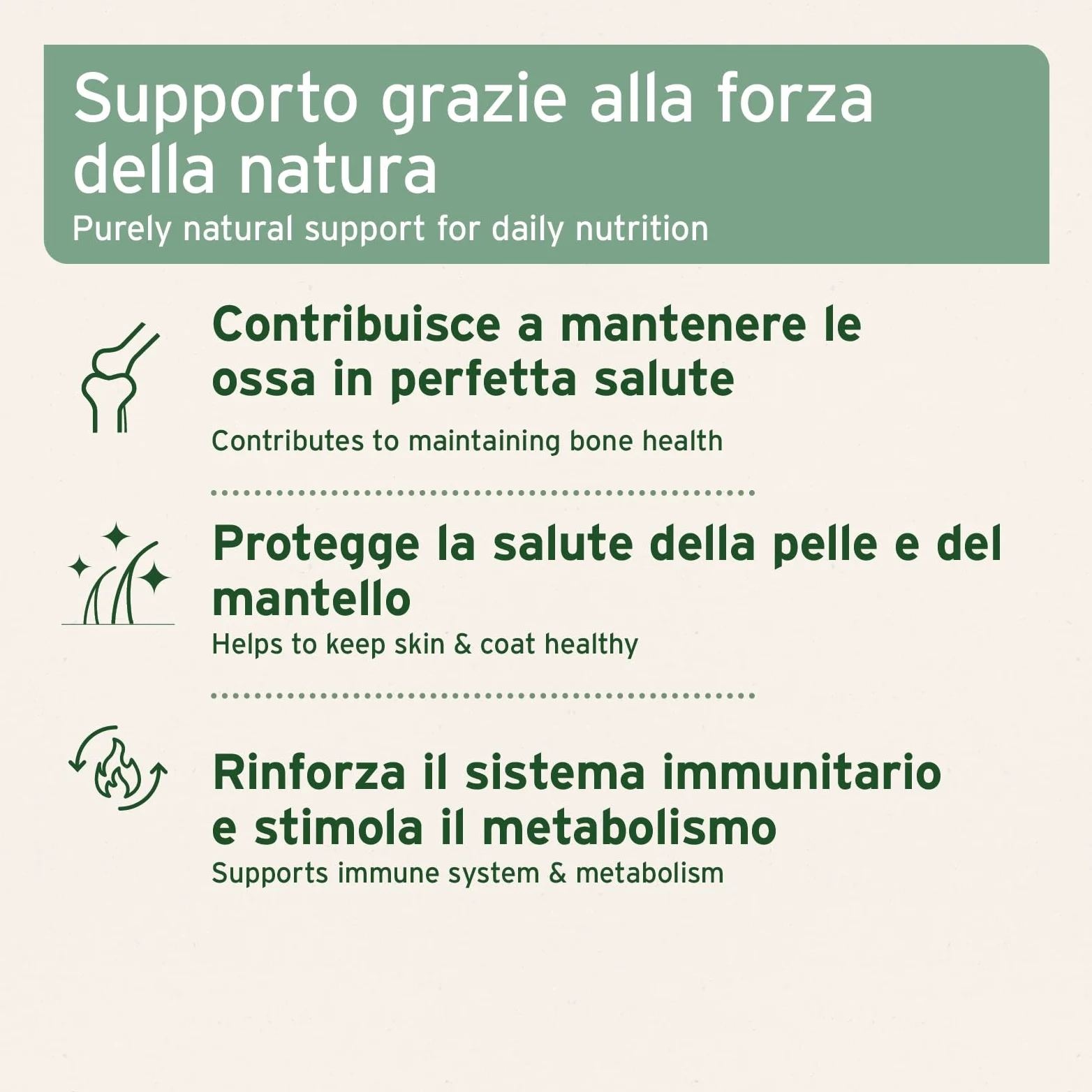 AniForte Omega-3 Capsule di olio di salmone per cani e gatti 200 Capsule - Natura pura, ottimizza il metabolismo, prezioso per la formazione delle ossa, la costituzione e il mantello lucido
