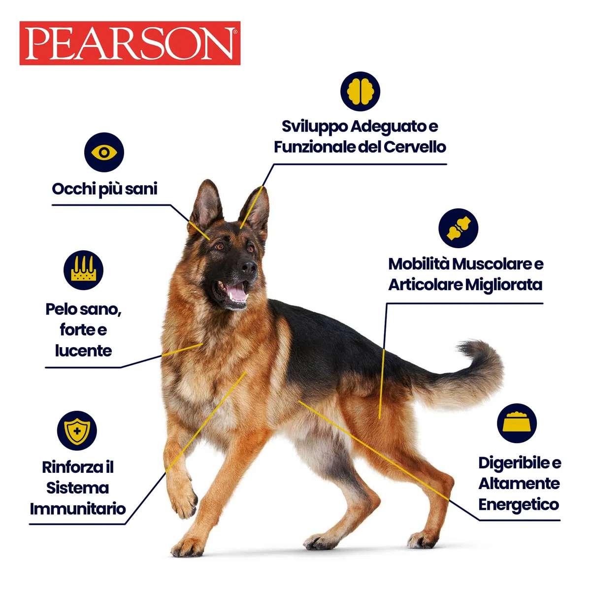 Pearson Purissimo Olio di Fegato Di Merluzzo Veterinario per Cani, Gatti, Cavalli e altri animali. Pelo lucido e Sano, Fonte di Vitamine e Omega3. (1000 ML)