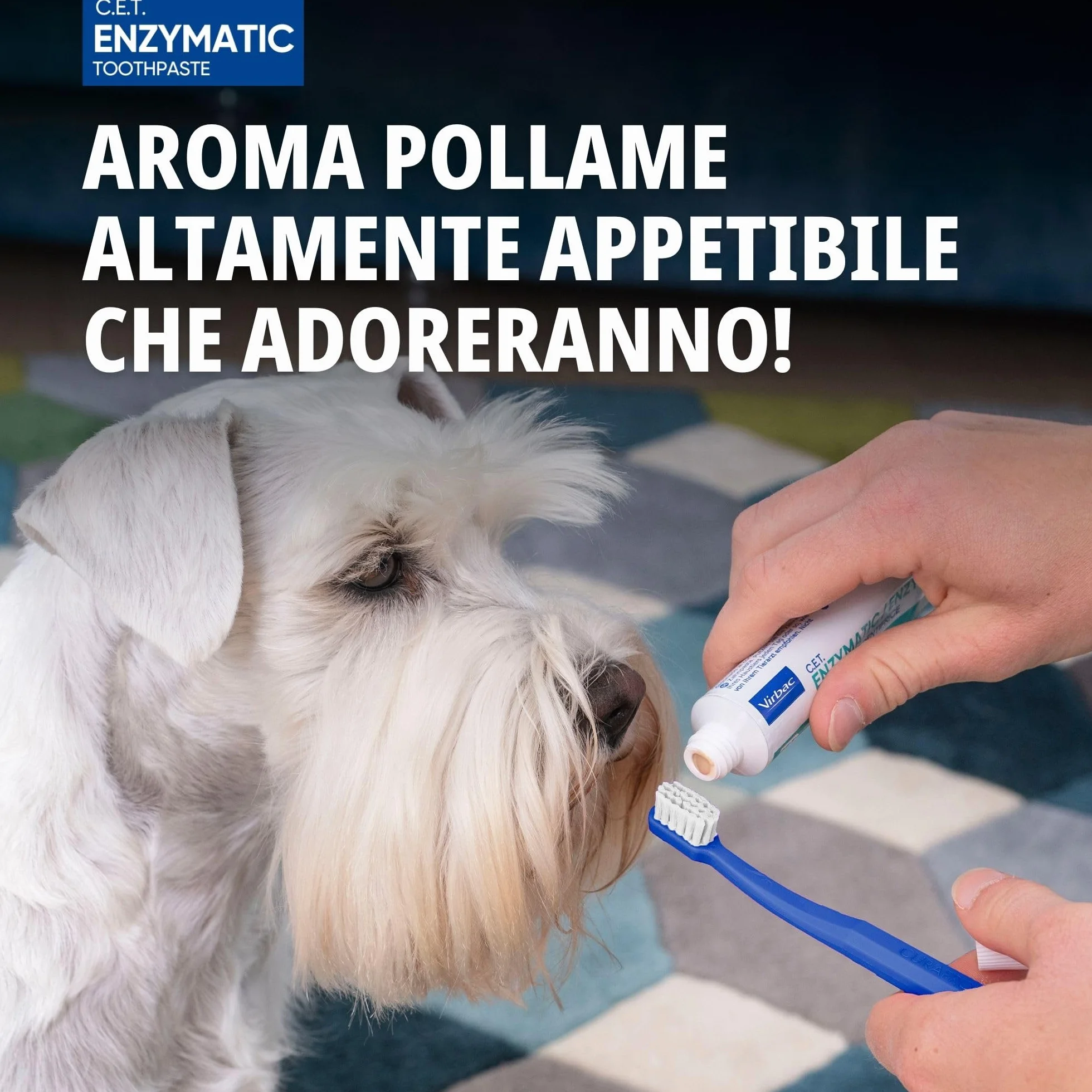 Virbac C.E.T. Dentifricio | 70 g | Con Aroma di Pollo per Cani e Gatti | Sistema C.E.T. Brevettato