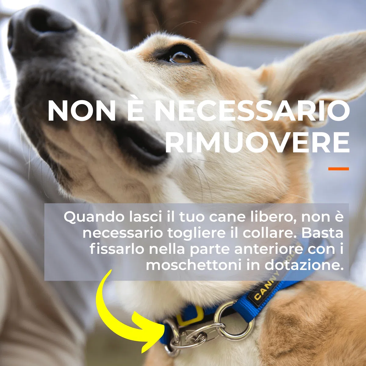 Canny Collar – Collare a Cavezza Addestramento Cane | Collare Anti‑Tiro Gentile e Sicuro | Camminate Piacevoli Senza Stress – Nero, Taglia 4