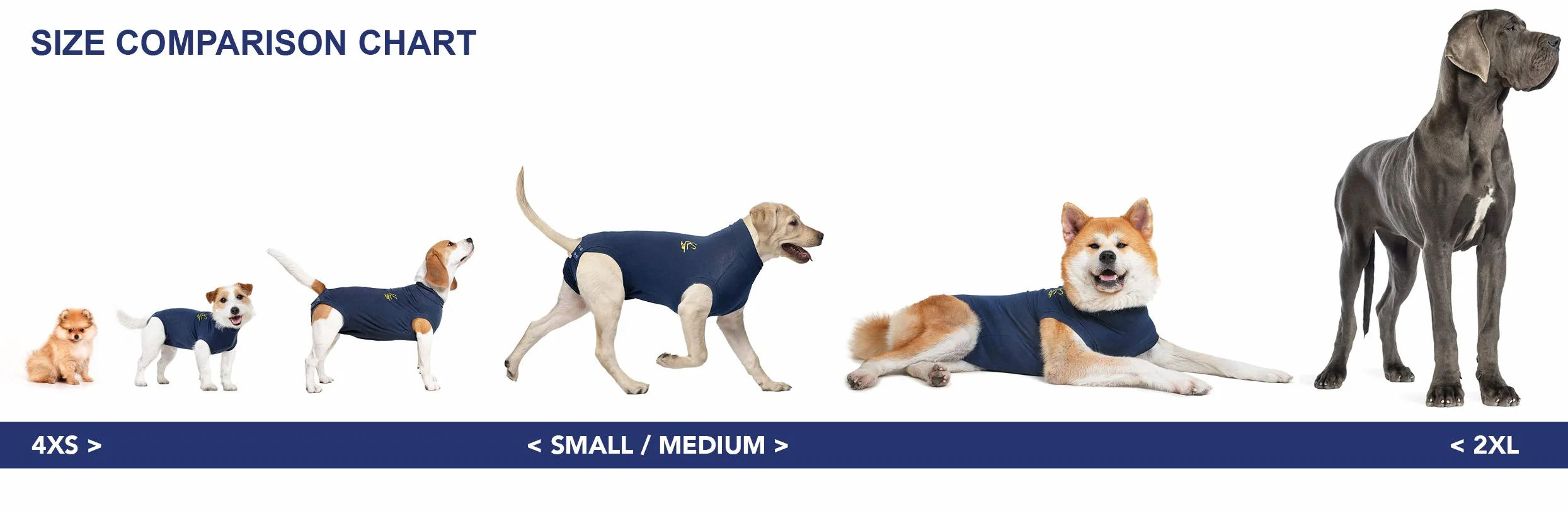 MPS Medical Pet Shirt, Cane, Blu, L