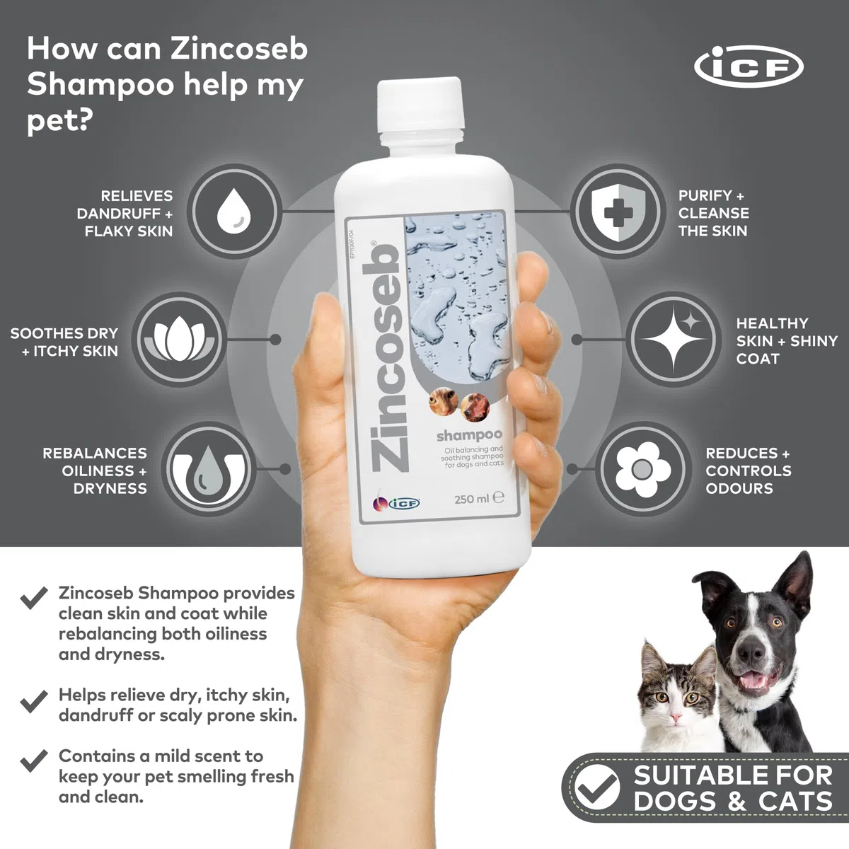 ICF | Zincoseb Shampoo per cani per alleviare il prurito della pelle + antimicotico + antibatterico per cani e gatti | Realizzato per animali domestici con pelle sensibile | 250 ml ICF | Zincoseb