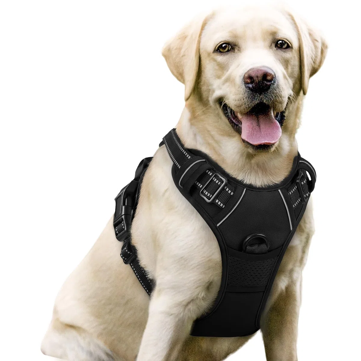 rabbitgoo Pettorina Cane Taglia Grande, Pettorina Cane ad h Regolabile con 2 Ganci in Metallo, Imbracatura per Cani Anti Tiro Riflettente, Imbracatura Traspirante per Addestramento Corsa, Nero, L