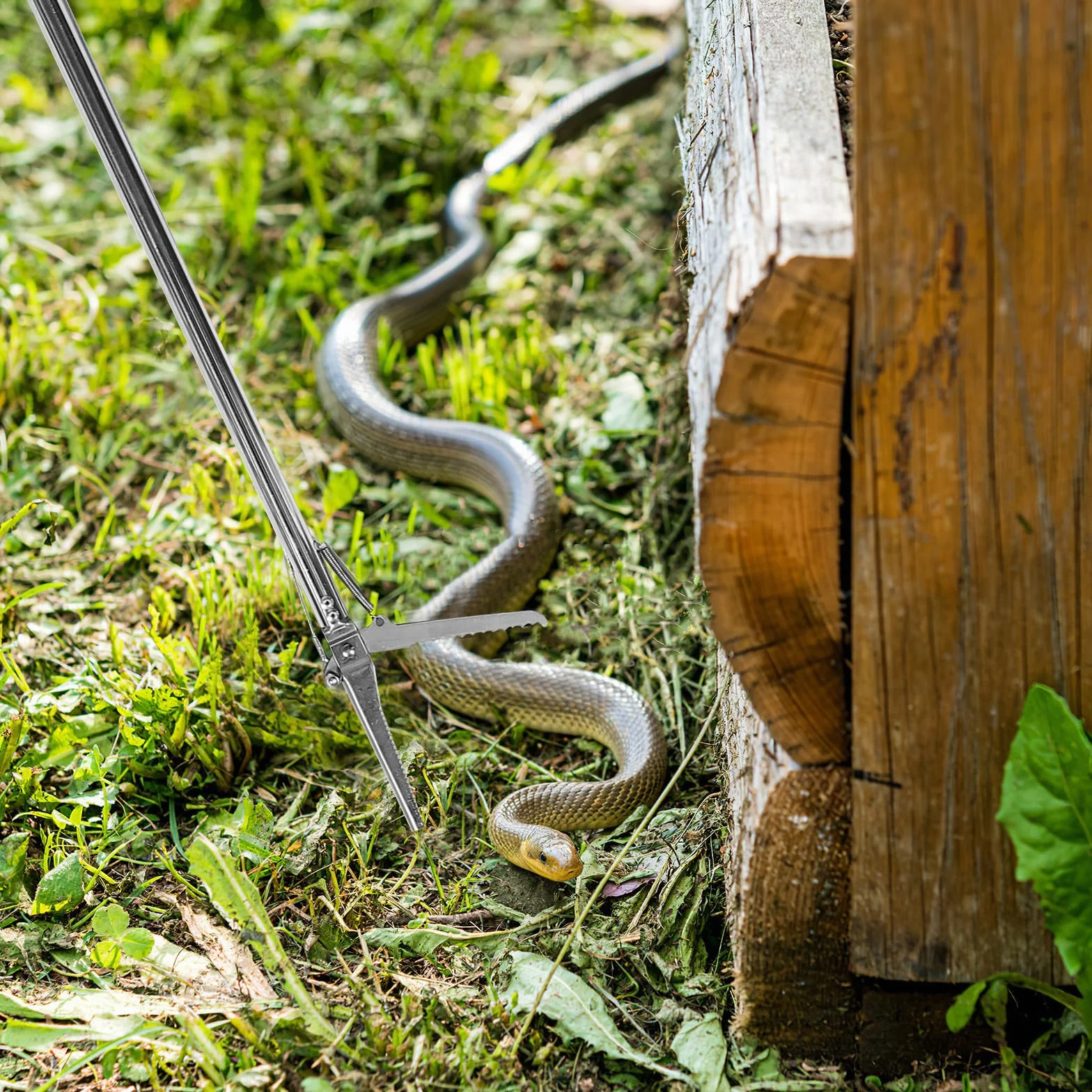 Pinza Acchiappa-Serpenti in Acciaio Inossidabile Pieghevole 48 Pollici Design Antiscivolo per Uso Domestico e Giardino Esterno