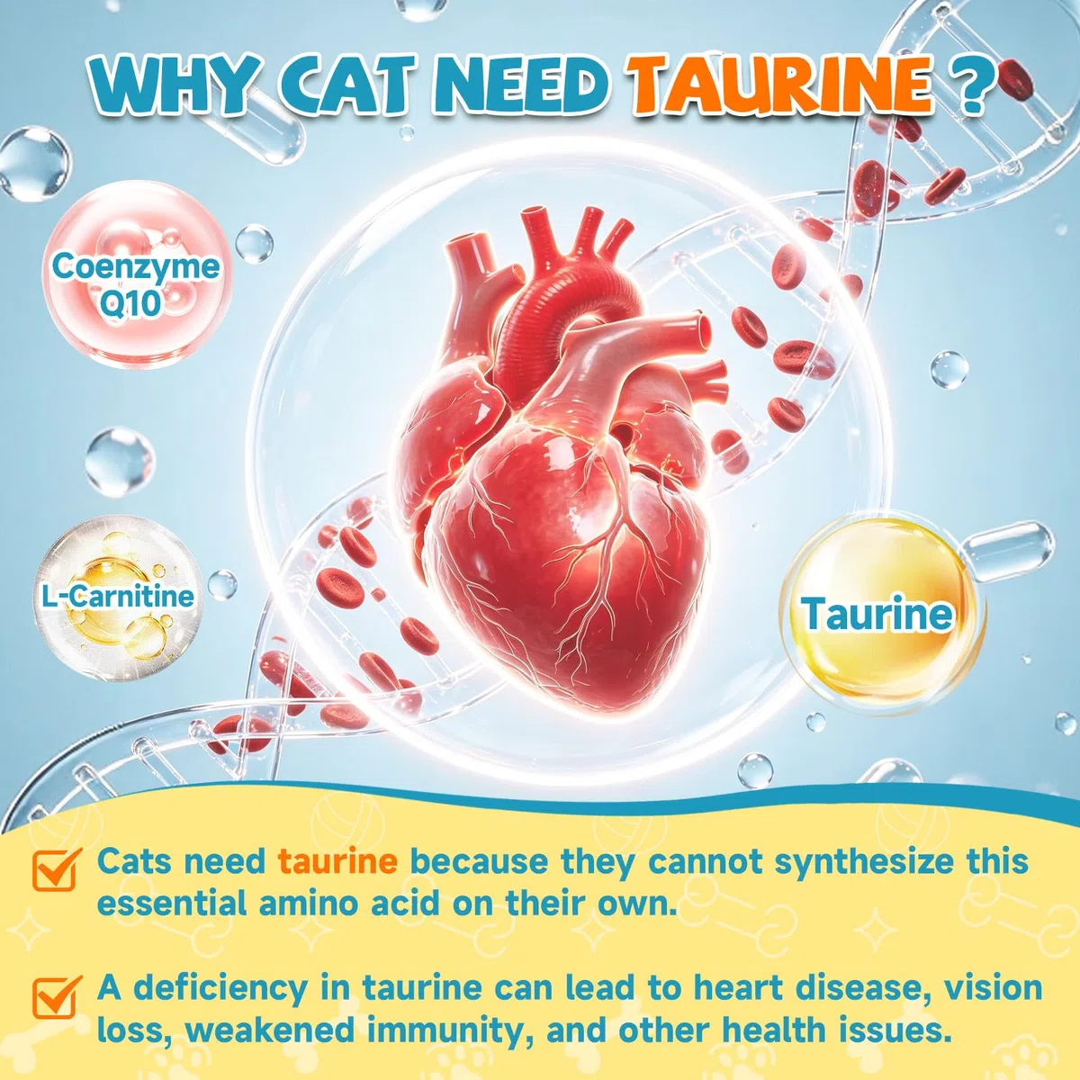 Taurina per Gatti Gocce – Integratore Taurina per Gatti, Felina Cardiaca e Vista, Immunitaria, l'Energia e Vitalità, Coenzima Q10, L-Carnitina, L-Arginina, Vitamine, Liquida Gatto Taurina, 60ml