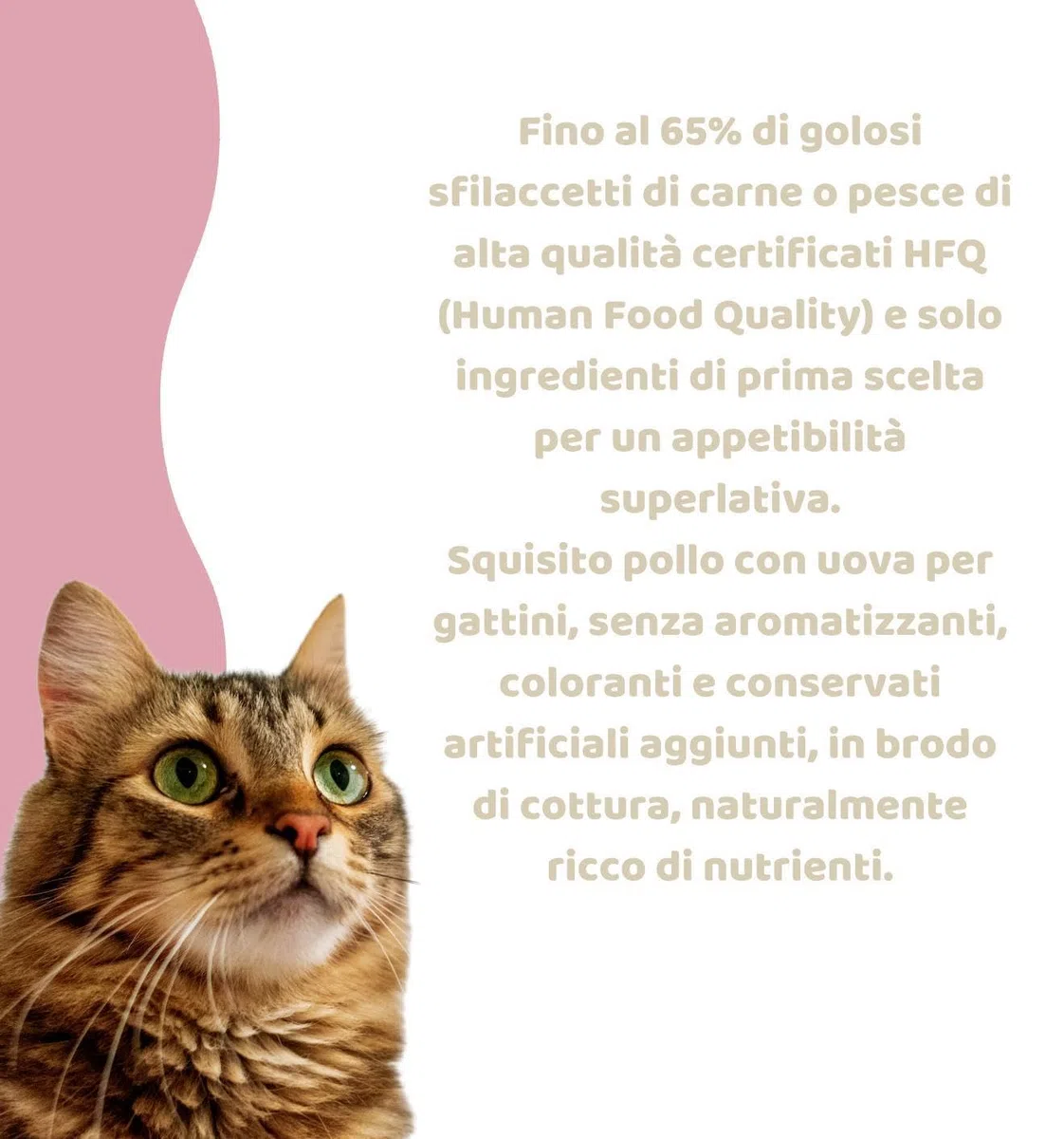 Oasy Umido Gatto Kitten Natury Cooking Broth gusto Pollo con Uova, morbidi sfilaccetti naturali in Brodo di Cottura per gattini di tutte le taglie e razze | 12 scatolette da 85 grammi l’una.