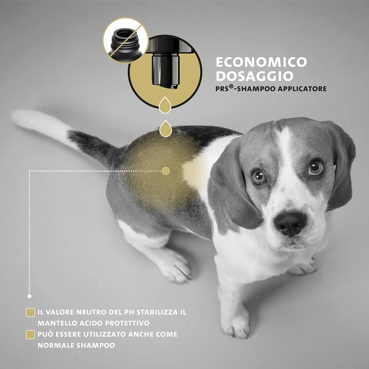 Peticare Shampoo Cuccioli Prurito e Acari – Scudo Cura Immediata per Parassiti – Senza Insetticidi – con Proteine della Seta – Shampoo Lenitivo