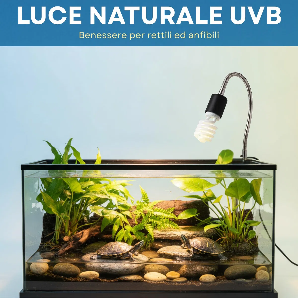 Lampada UVB rettili 13 W 5.0 + Portalampada Con Pinza e Interruttore kit Completo Per Tartarughe da terra e Piccoli Animali Lucertole Iguana Camaleonti Pogone Varani ecc..Pet Tribe