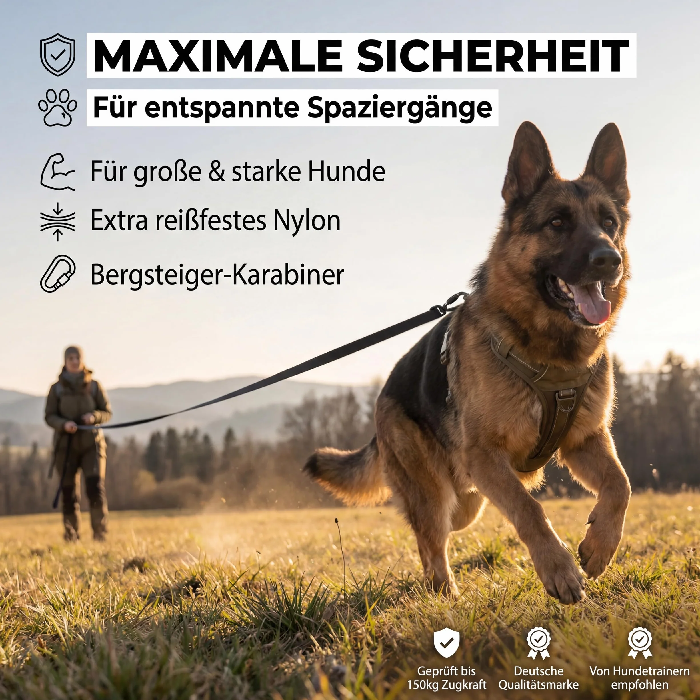 Linea di resistenza impegnativa 10m / 20m per cani con moschettone di sicurezza, guinzaglio per cani con passante inclusa borsa gratuita