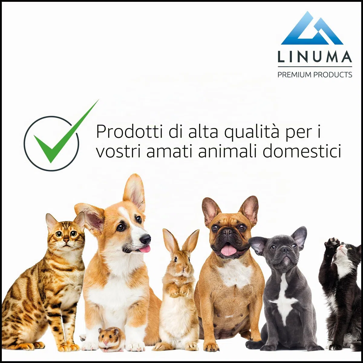 Lettiera per gatti con tappetino per lettiera e pala per gatti, lettiera per gatti, lettiera con coperchio, lettiera per gatti e gatti, colore: verde menta