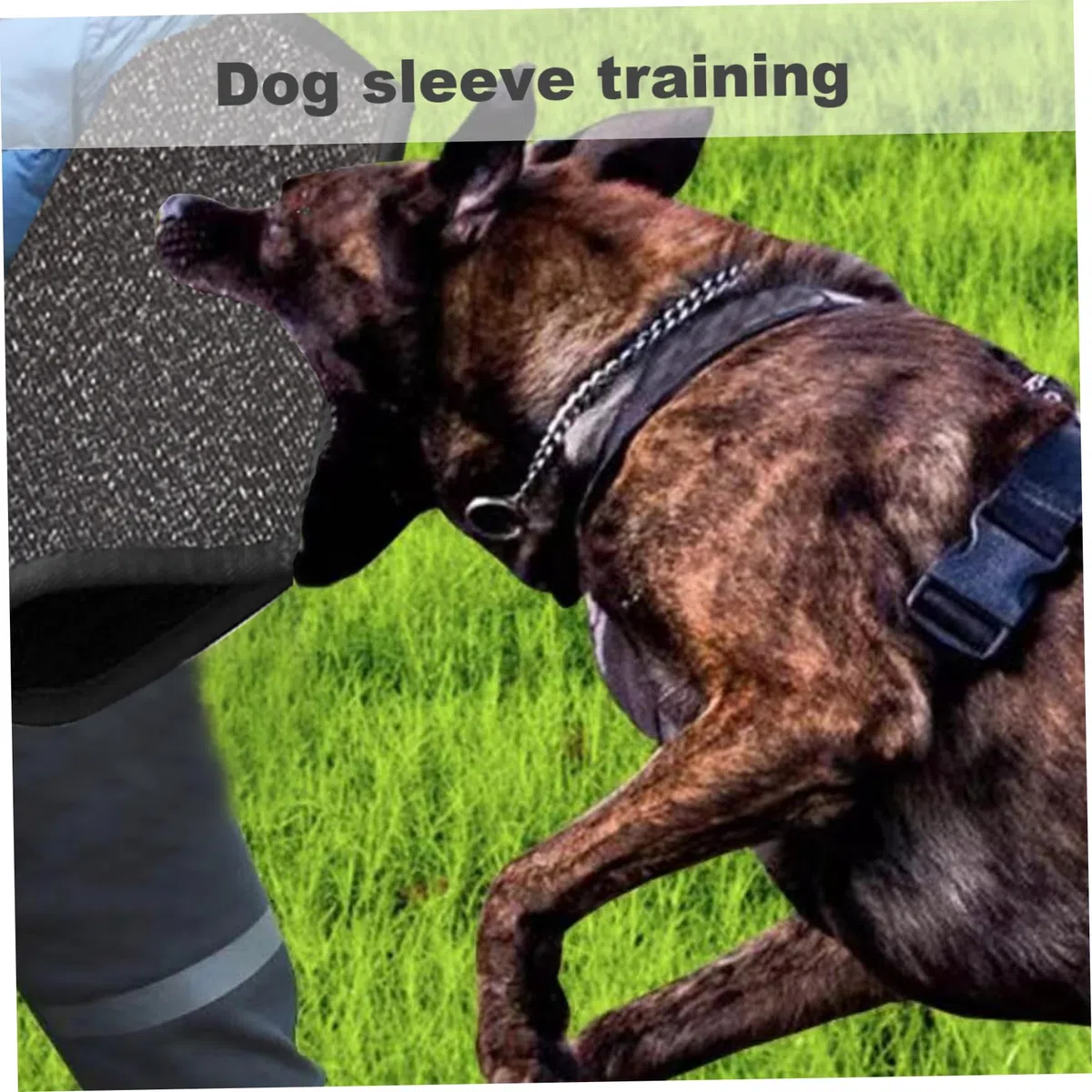 Jorzer Maniche ad addestramento per Cani Nylon Dog morso Manicotto Resistente allo Spazio Resistente alla Manica del Braccio di addestramento di Protezione interattiva Manica di Protezione da morso