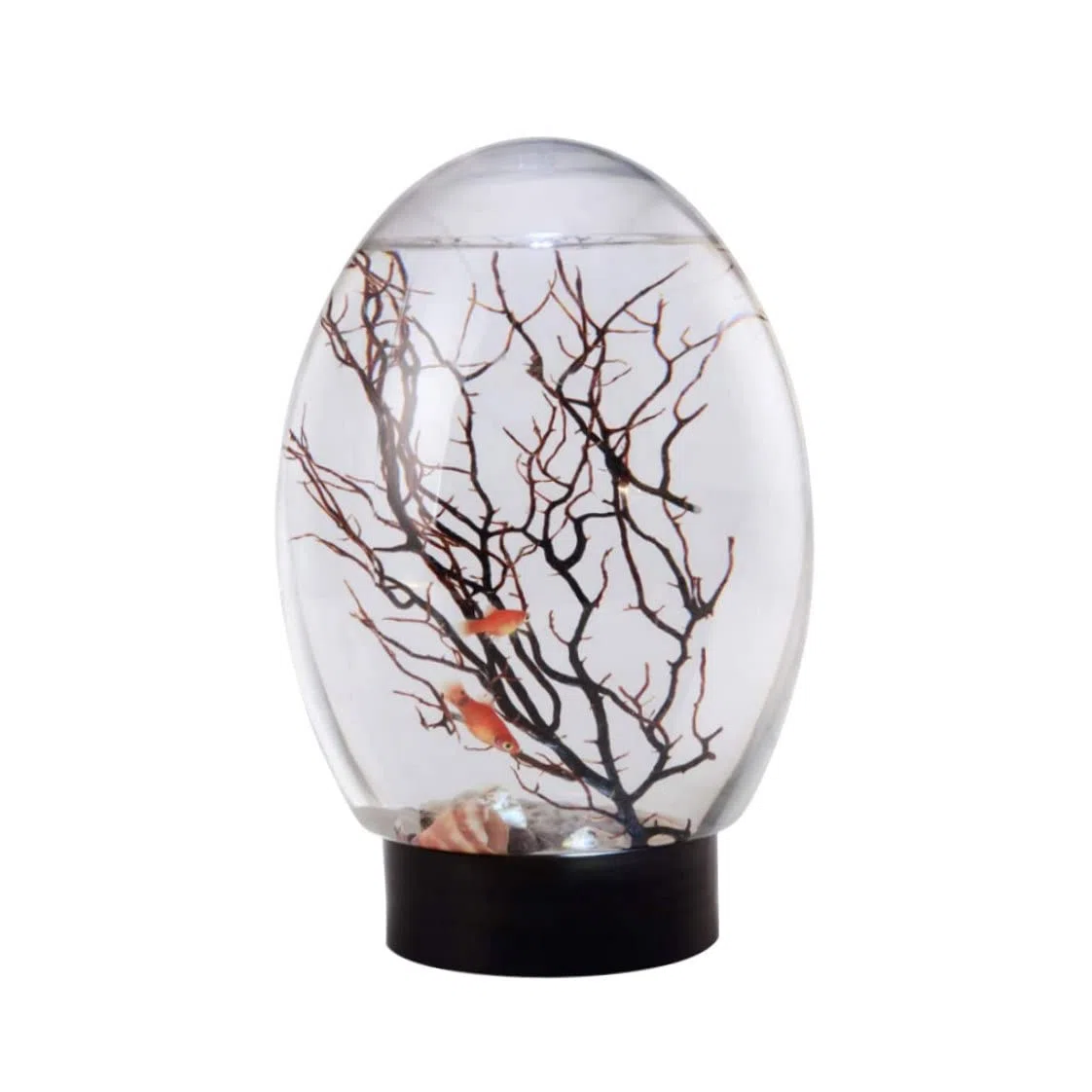 Ecosistema acquatico chiuso di mini acquario ecosistema chiuso con acqua nera per desktop luminosa a LED non è necessario nutrire o cambiare acqua, ecosistema della biosfera