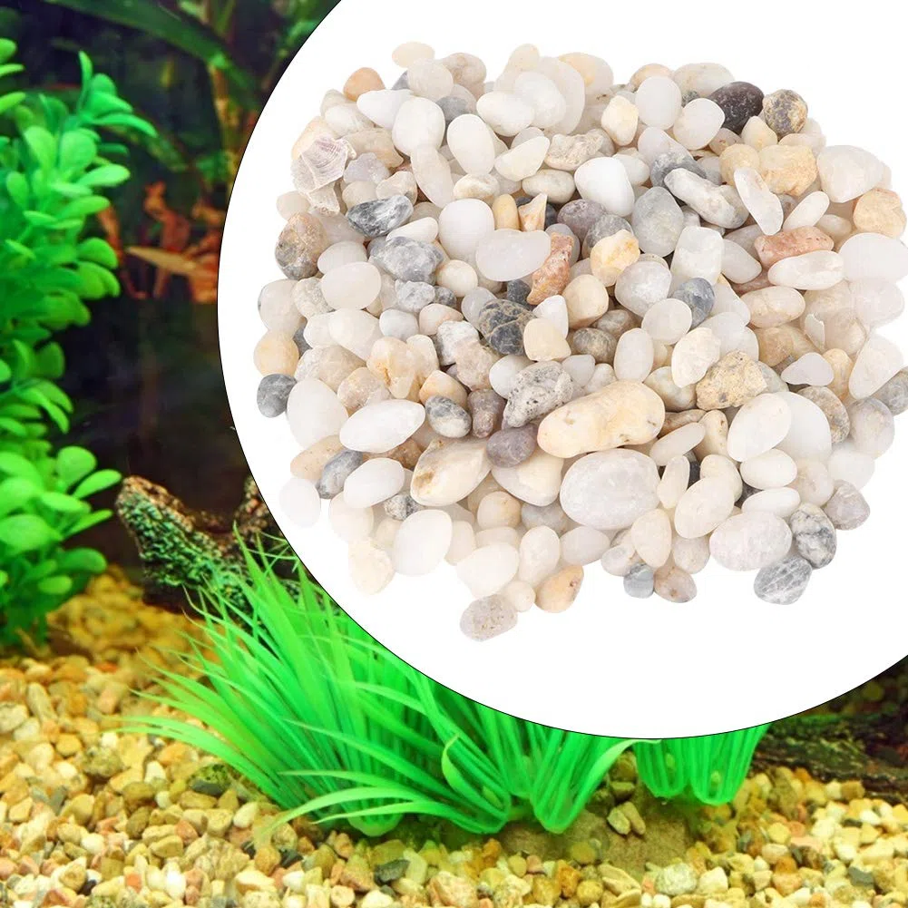 Jenngaoo Sabbia per Acquario, Pietra di Sabbia Naturale Ghiaia Decorazione Paesaggistica Serbatoio per Tartarughe Sabbia di Fondo per Acquario Vaso di Fiori Accessori per Riempitivi di Acqua Dolce