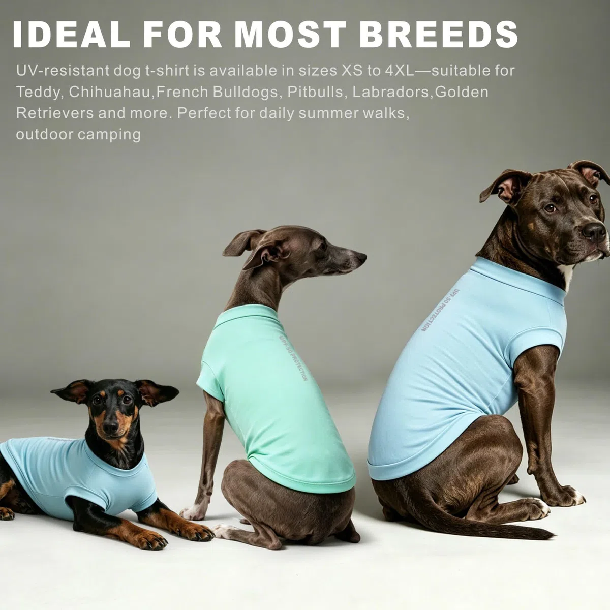 Camicia Cane Protezione UV 2Pack, Maglietta Leggera Cane Gilet di Raffreddamento Secco Rapido Abbigliamento estivo per animali Cani Camicie per cani piccoli medi grandi Gatti