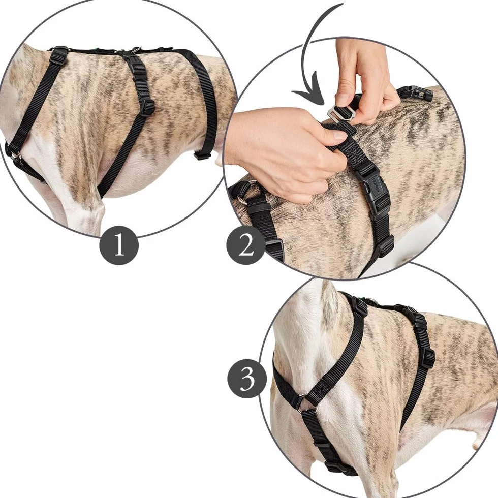 HUNTER Imbracatura a prova di fuga Vario Rapid, L rossa, Nylon